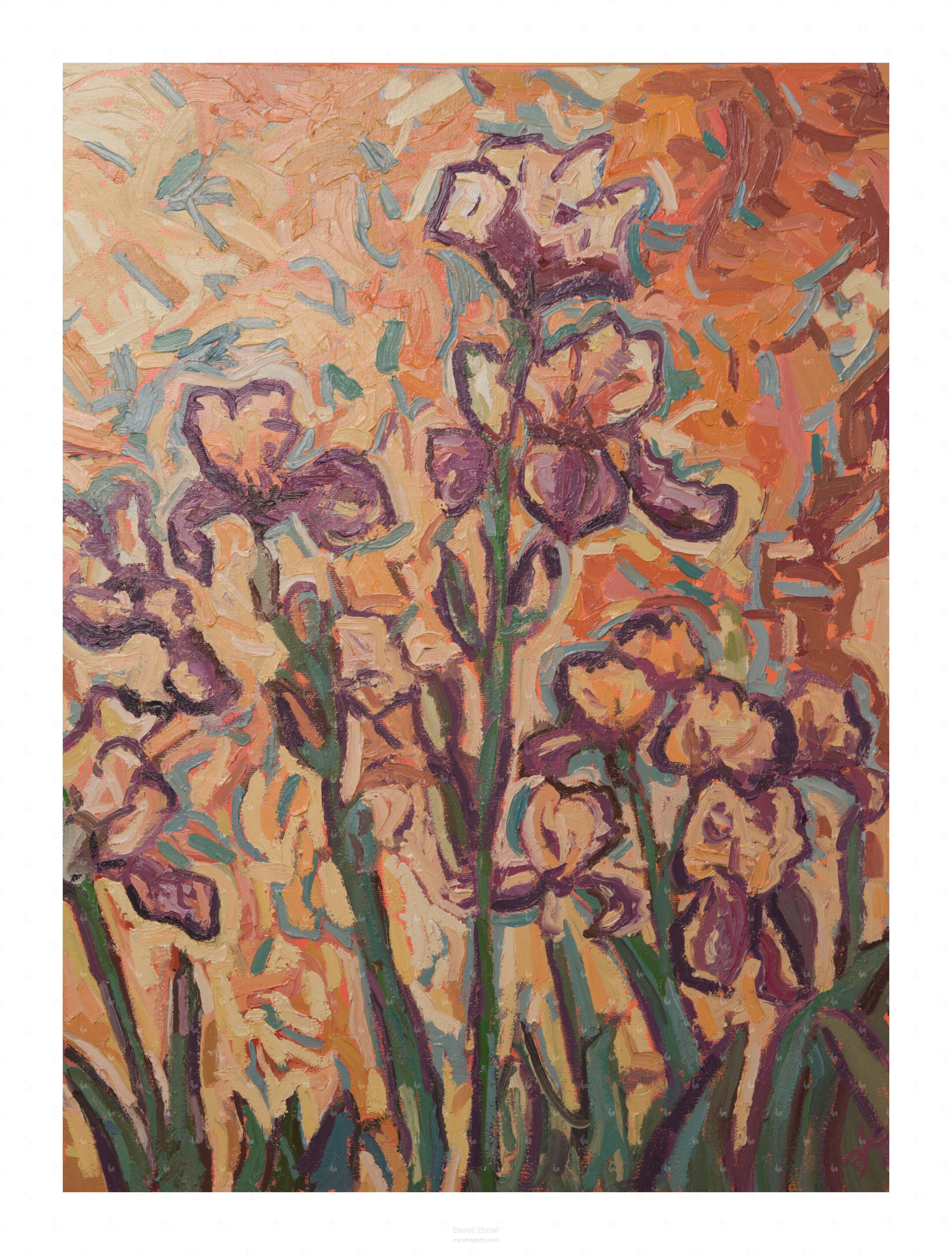 Dancing Irises #920,423