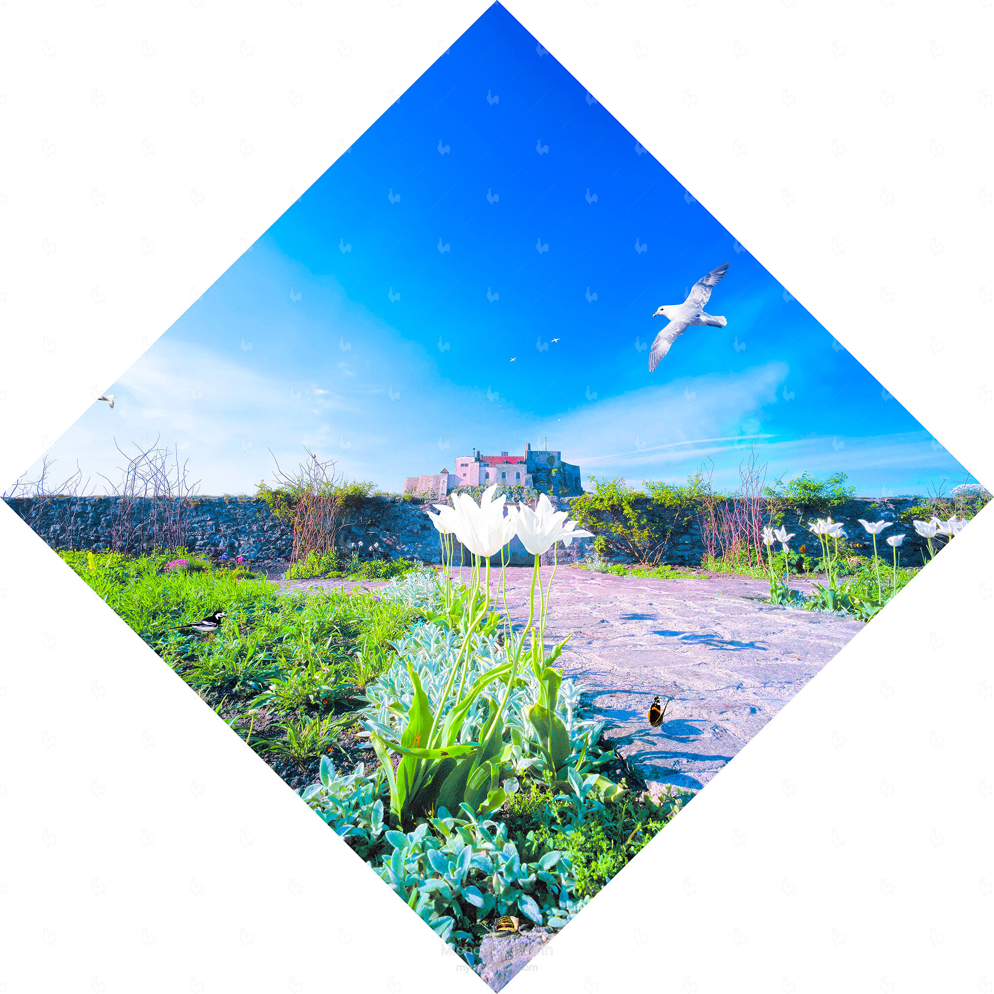 Lindisfarne Walled Garden