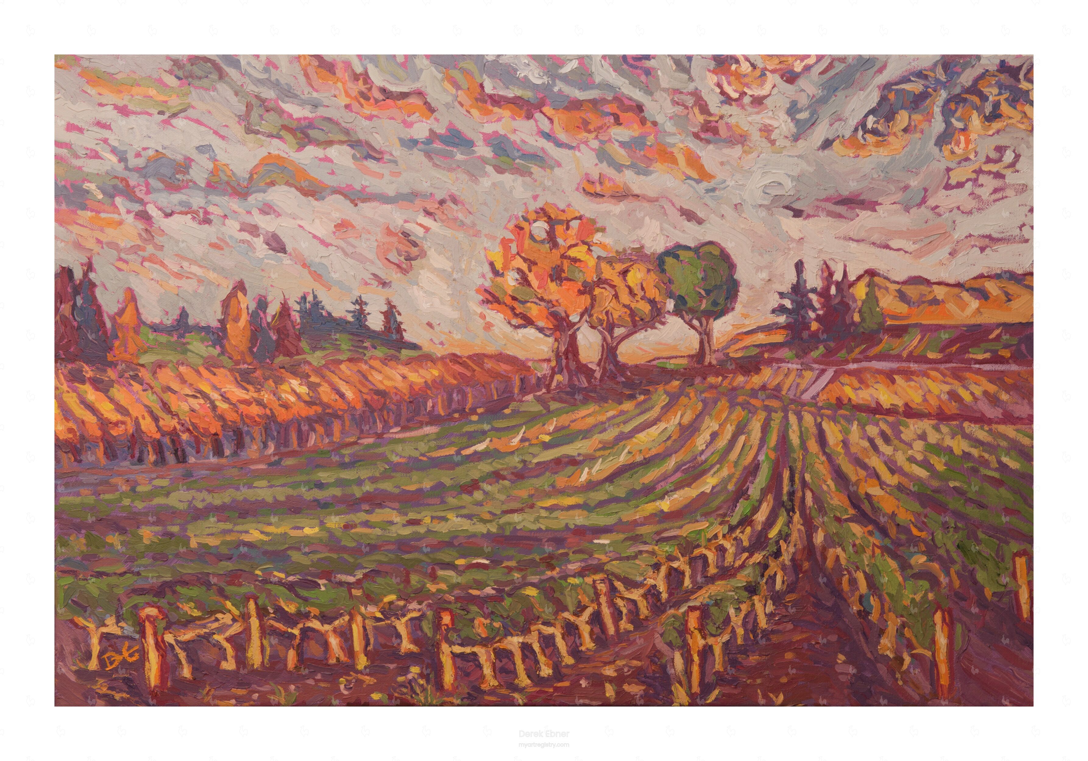 Colors of the Vineyard #934,757