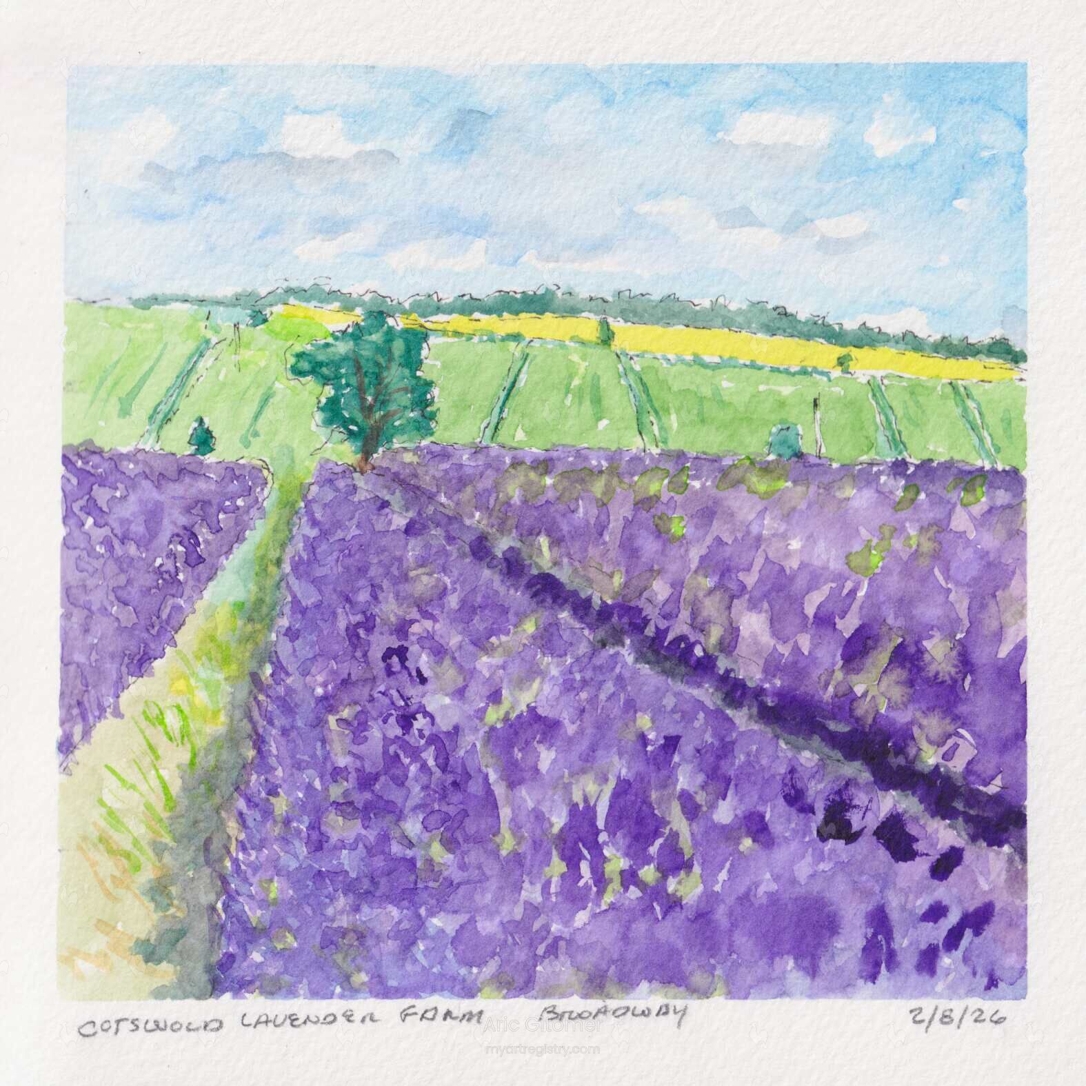 Where the Lavender Meets the Horizon