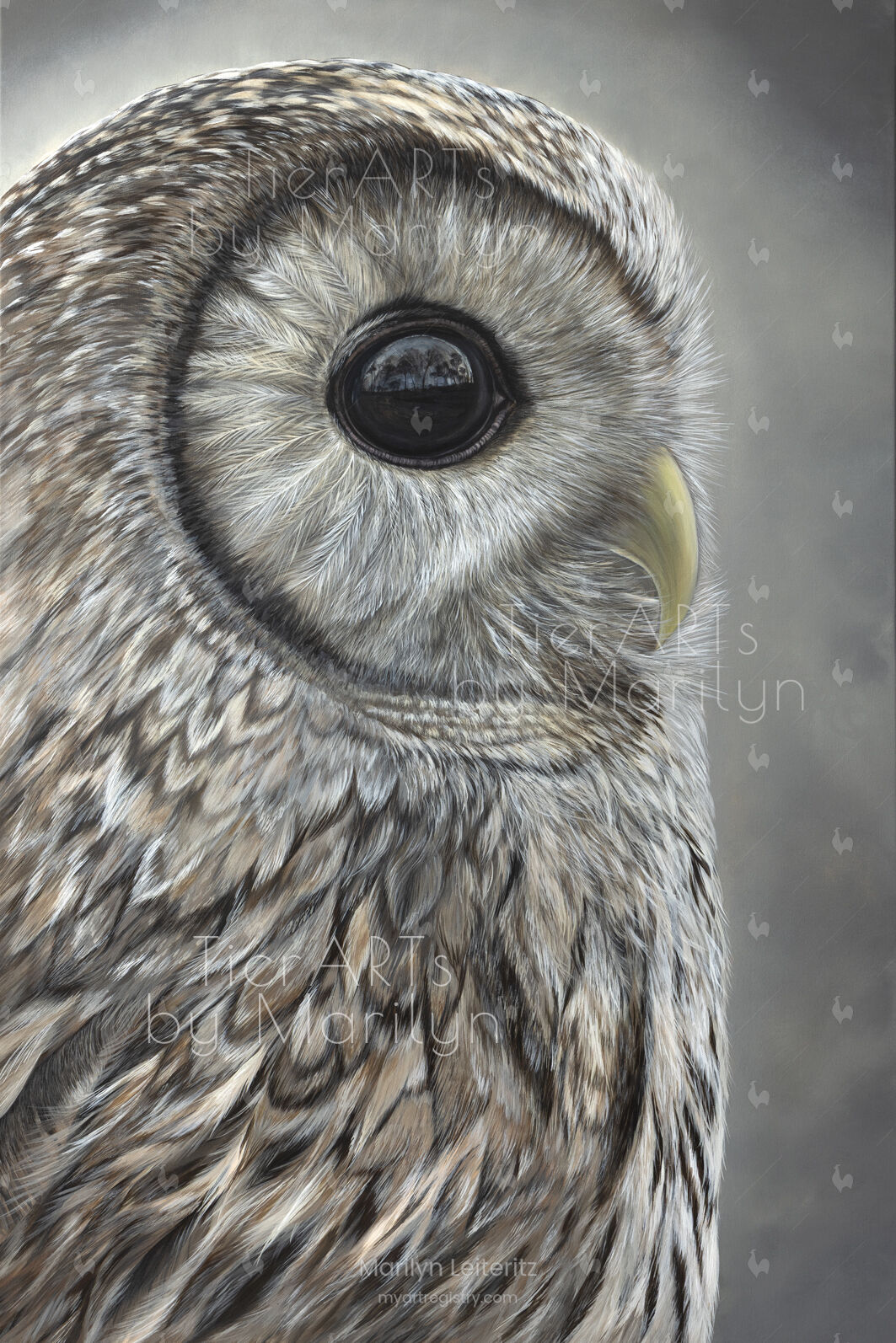 Home is where your heART is - Tawny Owl / Waldkauz