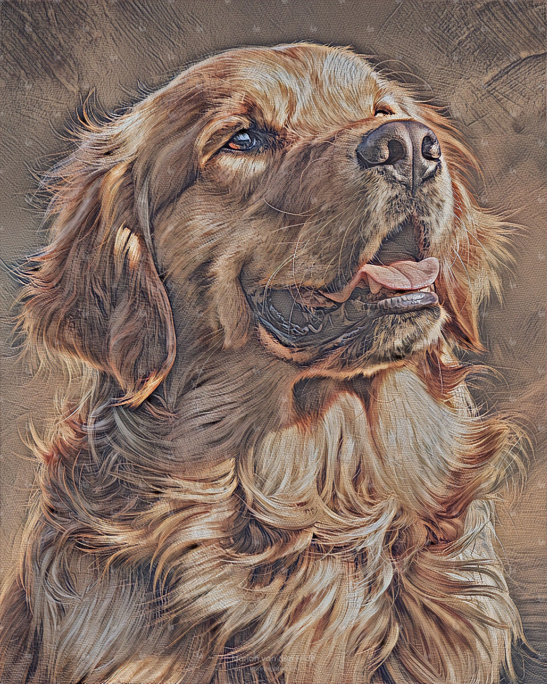 Golden Retriever