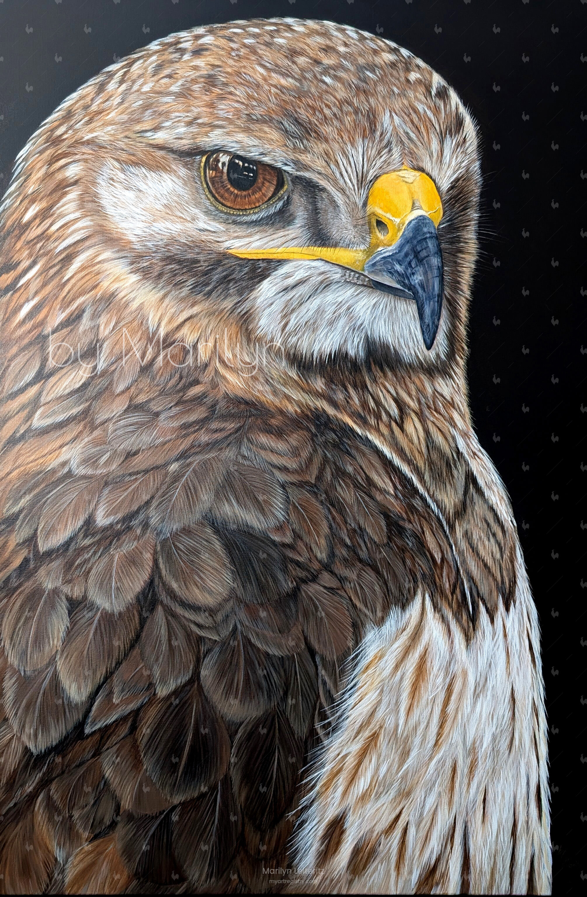 Home is where your heART is - Mäusebussard / Common Buzzard