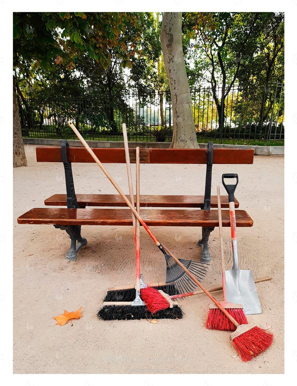 Limpieza del Retiro