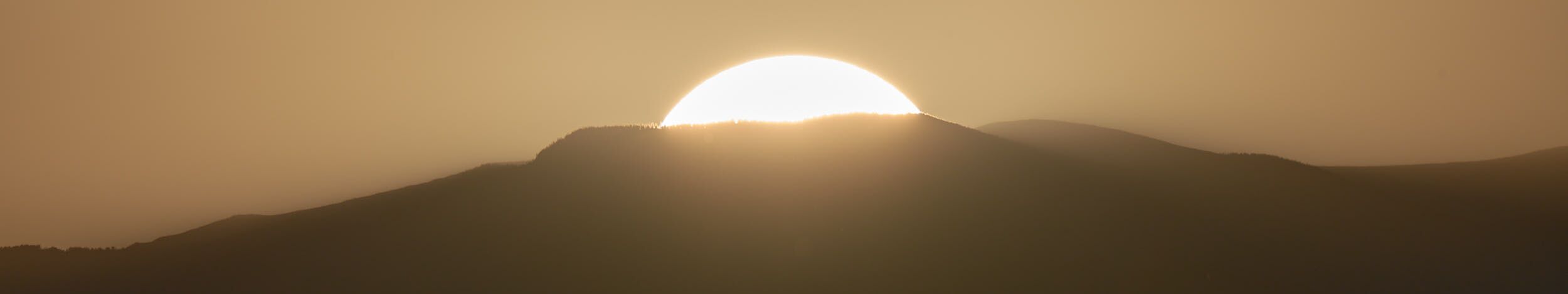 Artist cover image