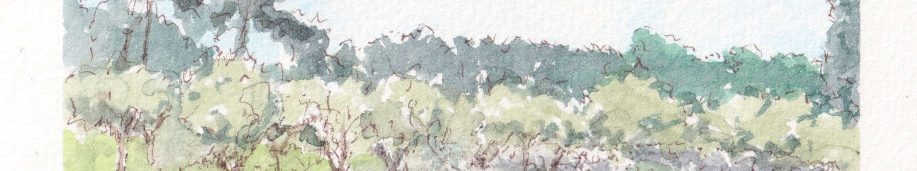 Artist cover image
