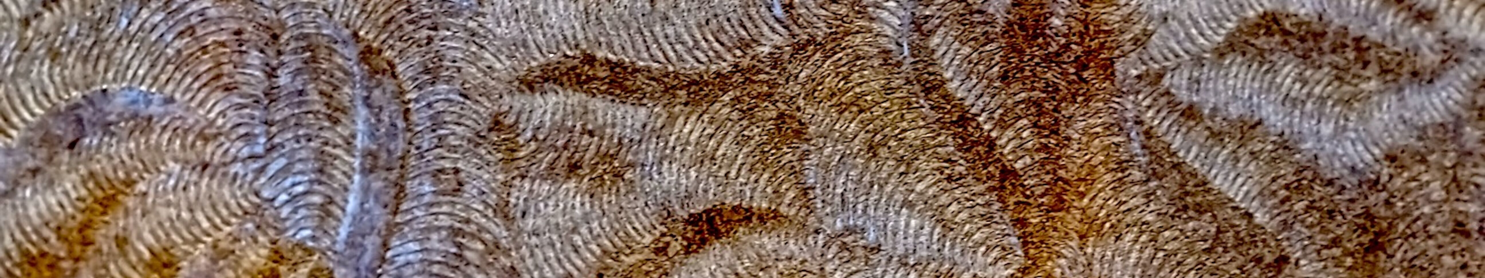 Artist cover image