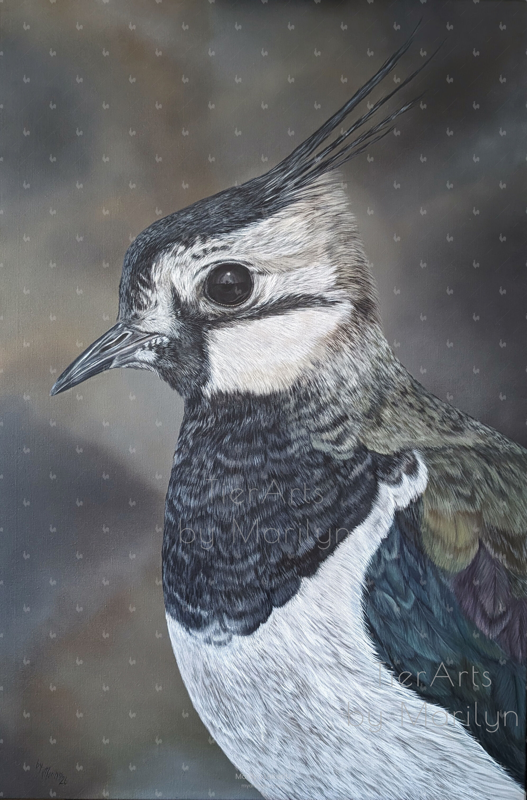 Home is where your heART is - Kiebitz / Lapwing