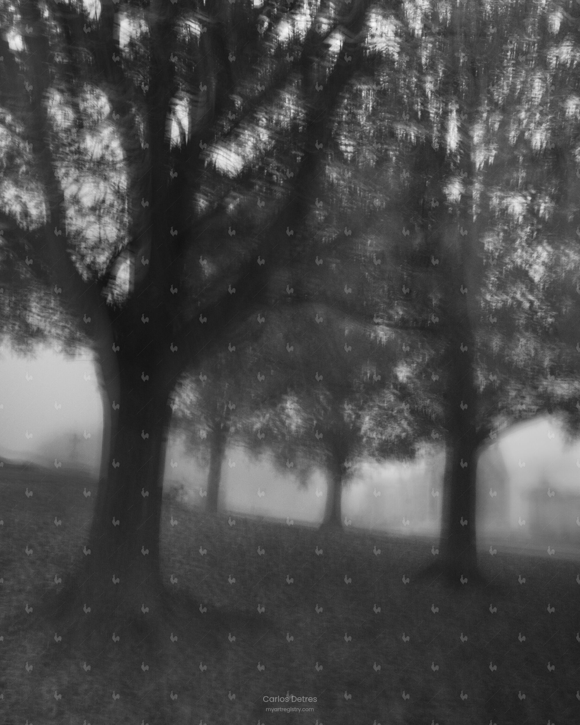 Veil -- How to Make a Ghost