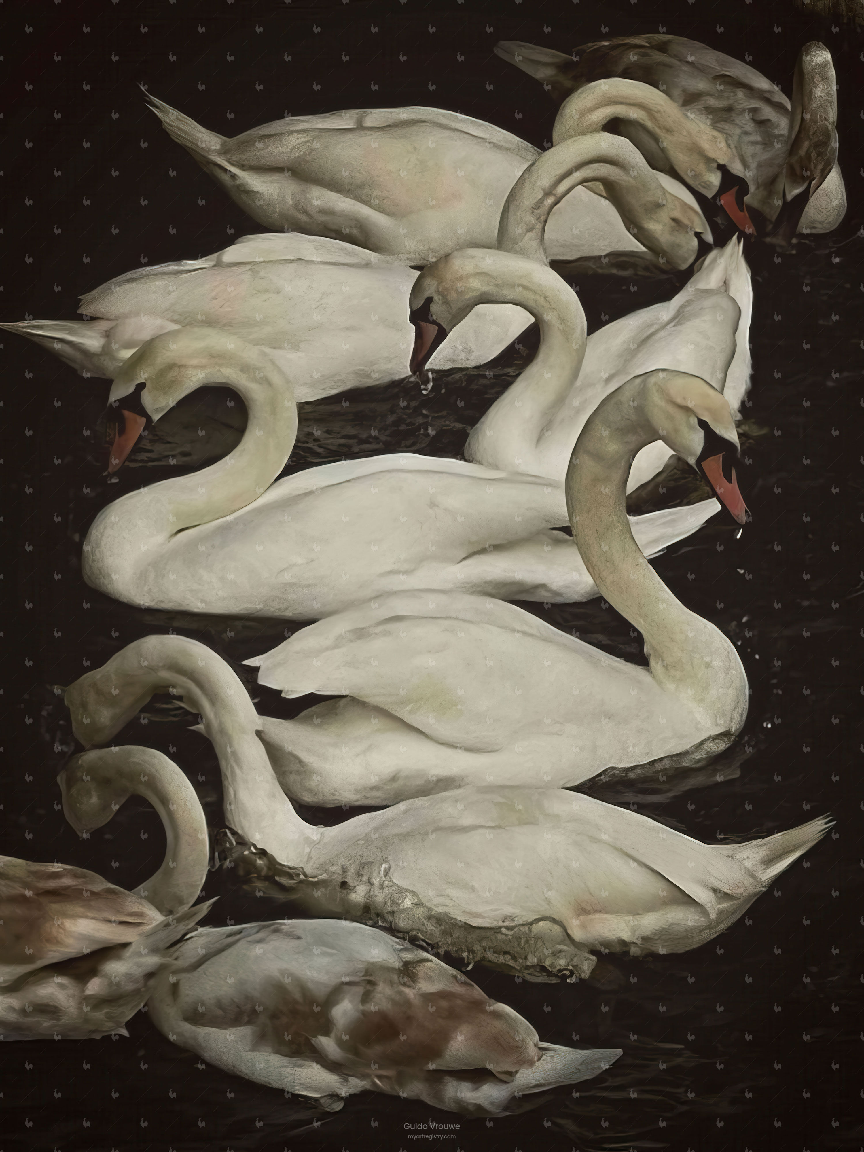 Swans