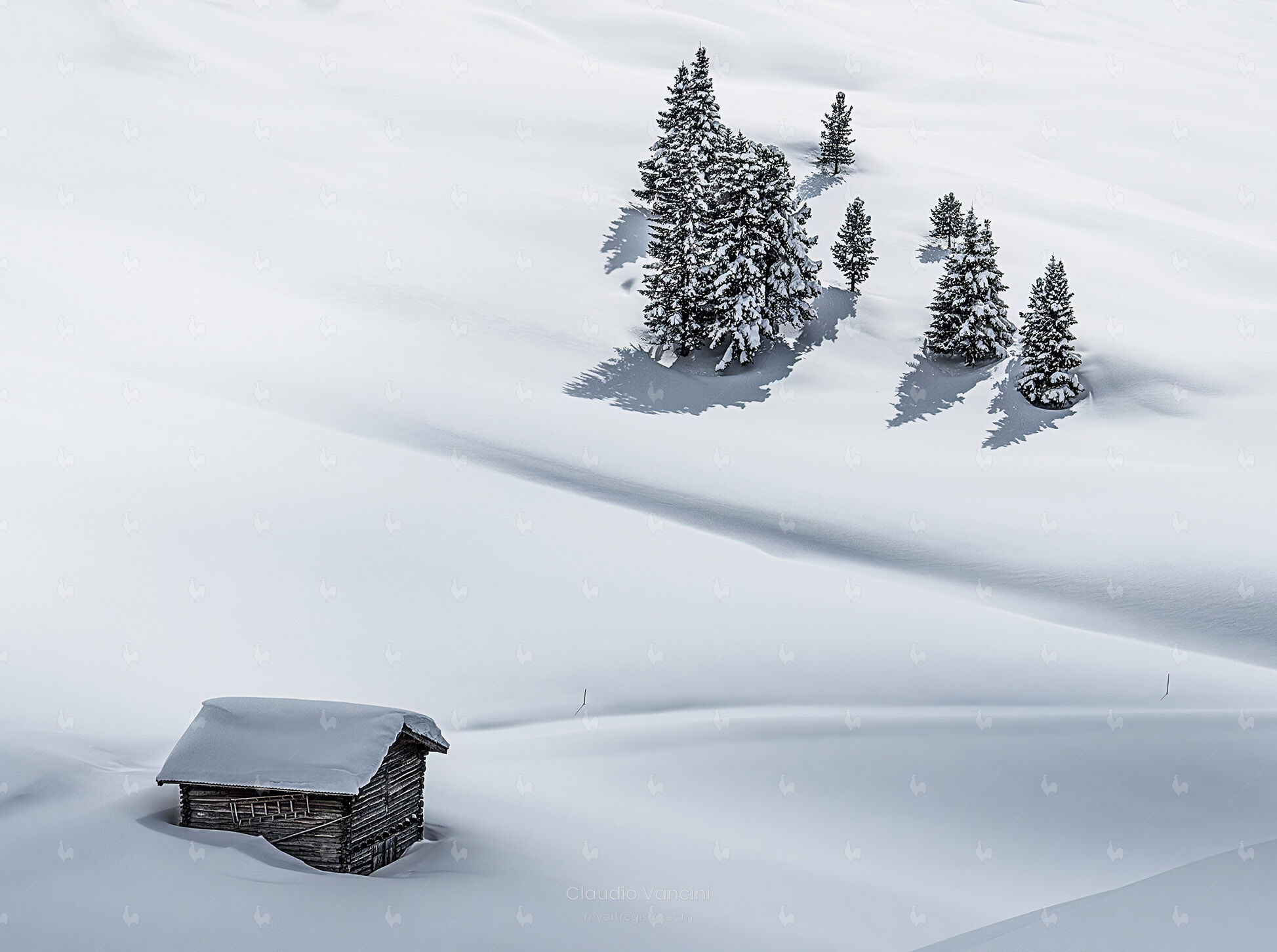 Nel silenzio dell'Alpe