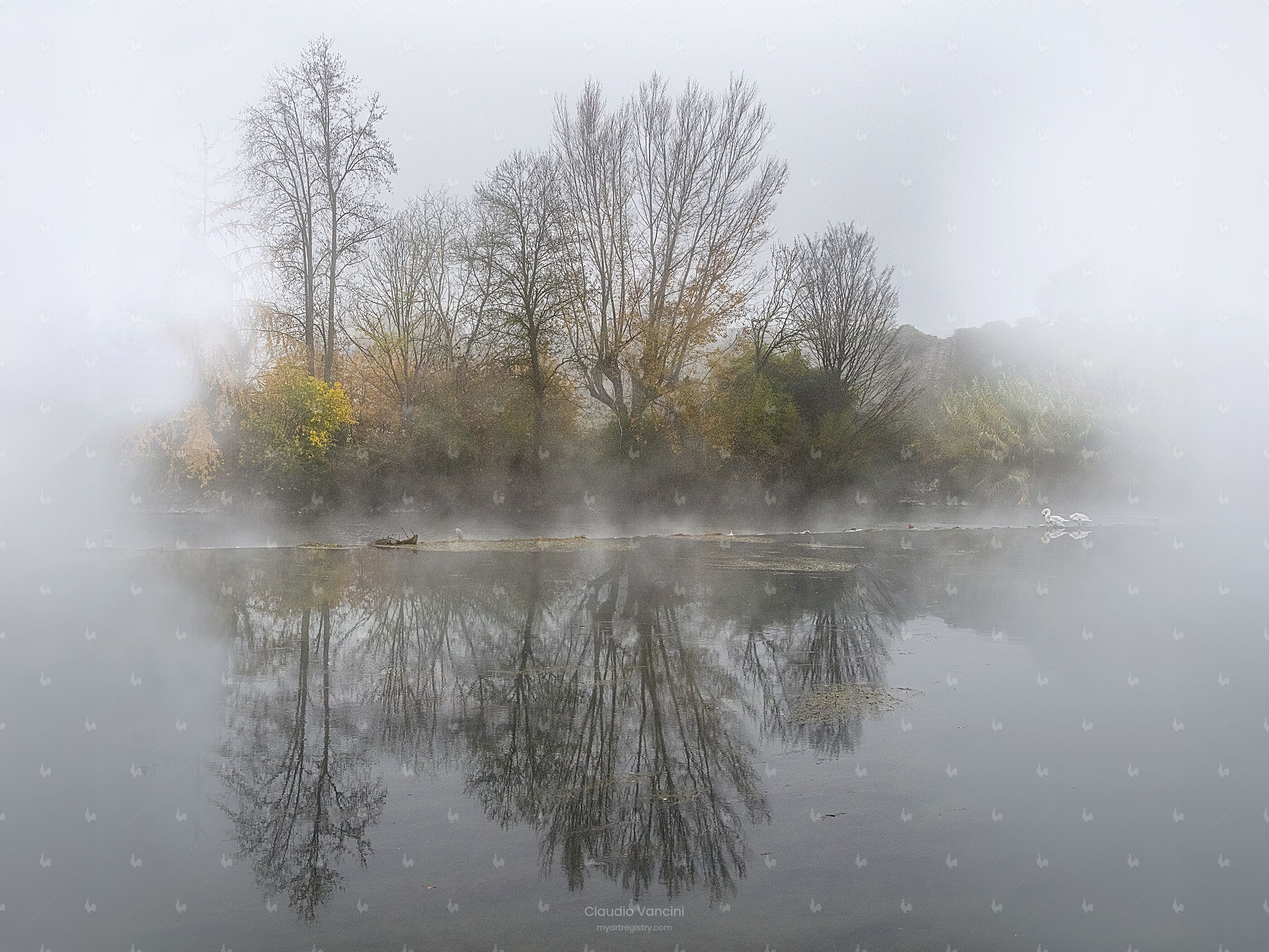 Autumn mist