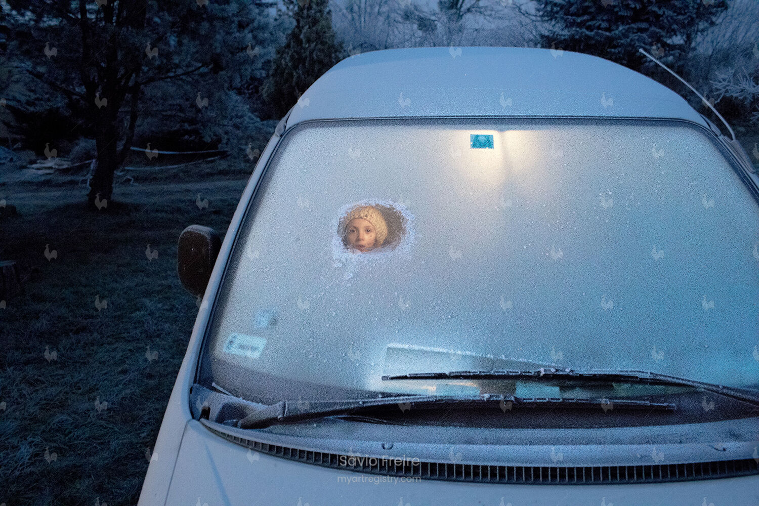 Frozen
