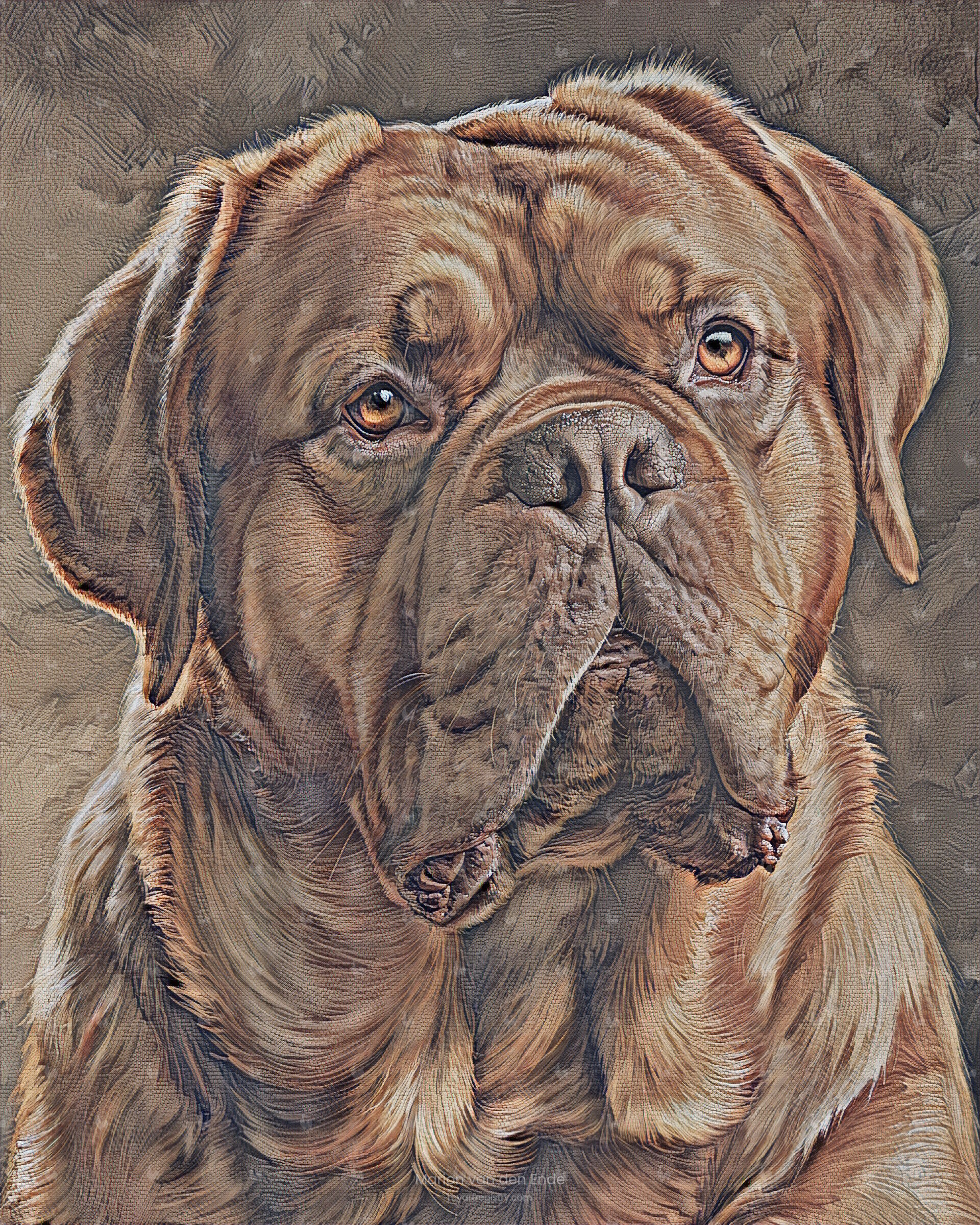 Dogue de Bordeaux