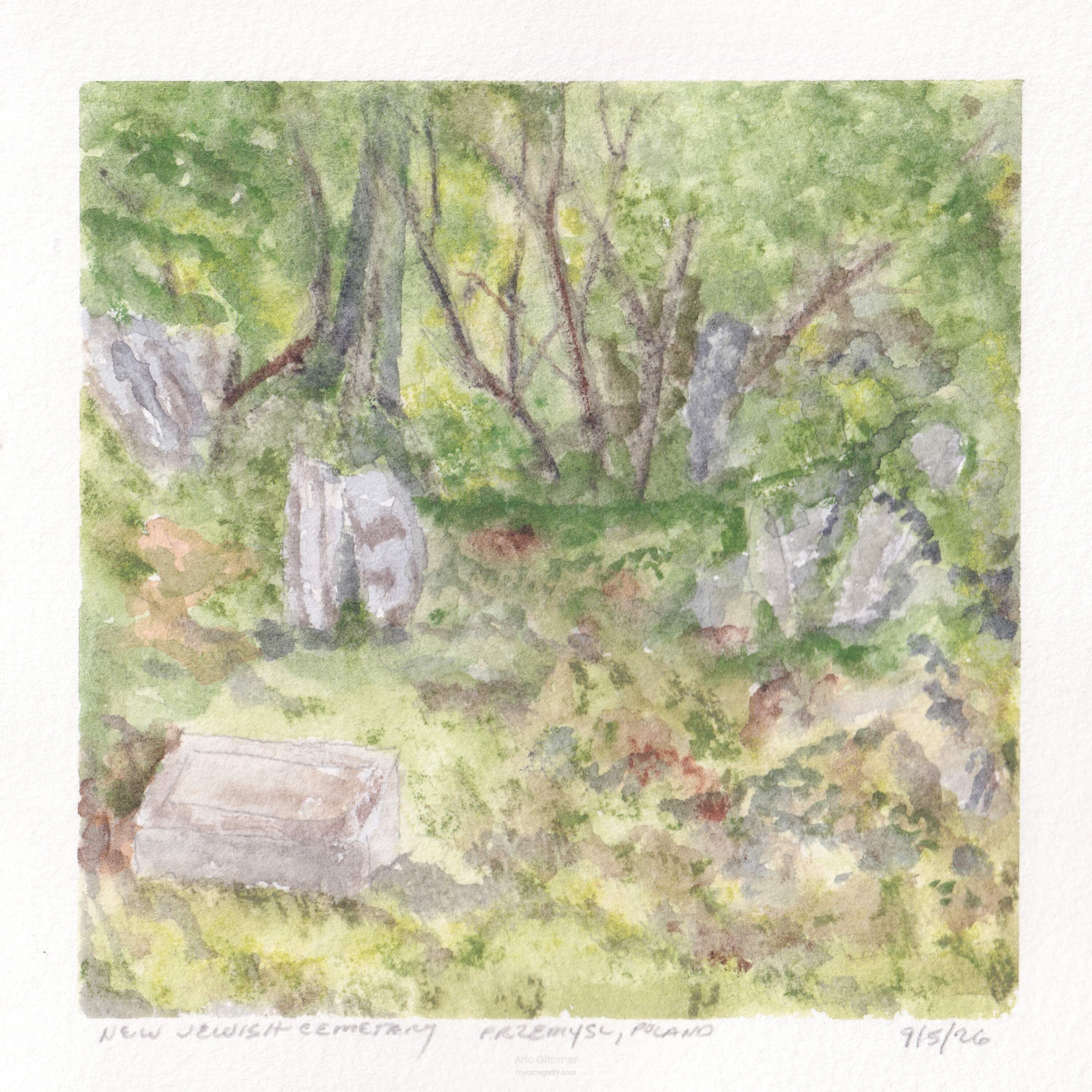 Among the Stones