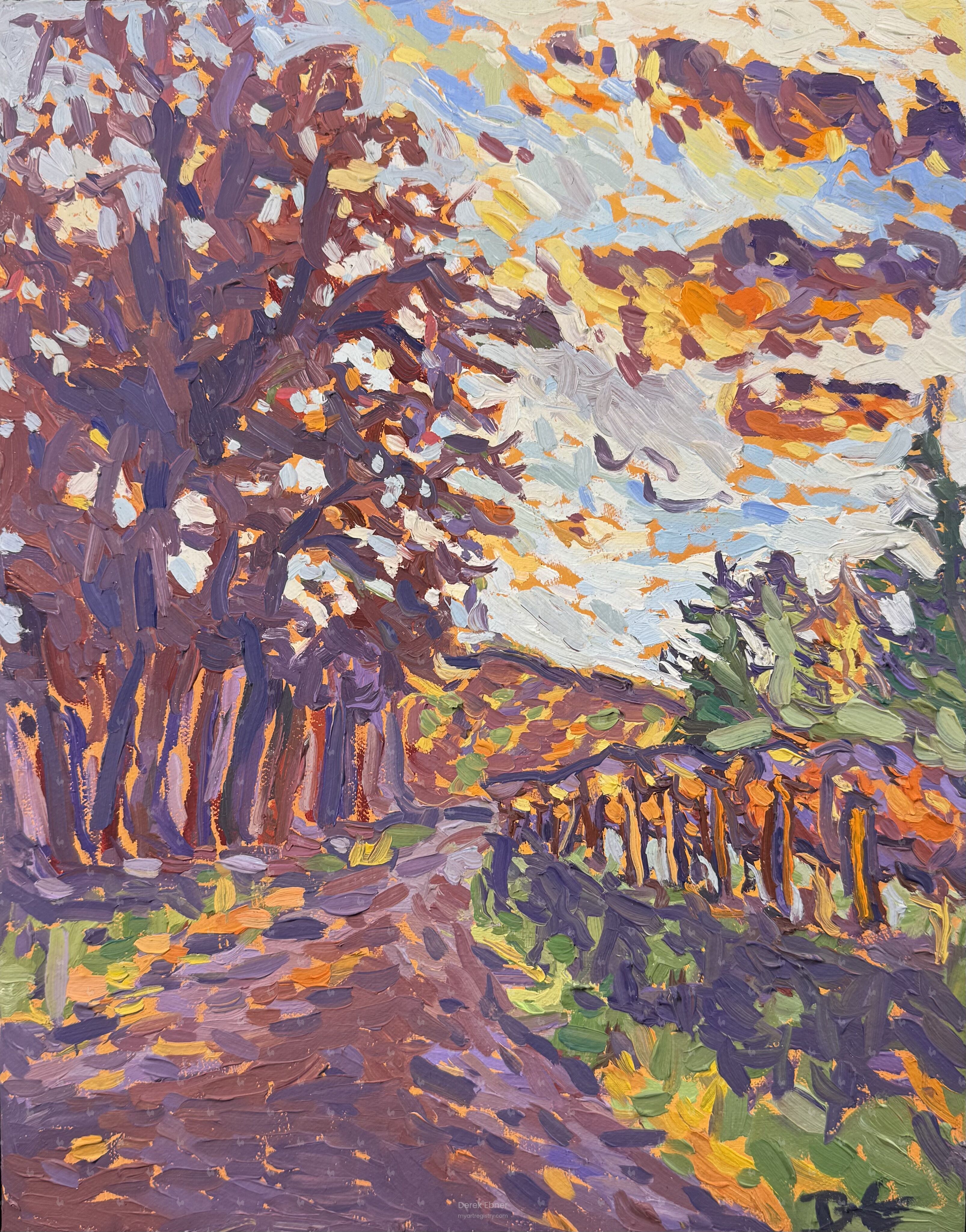 Fall Vineyard Colors #934,985