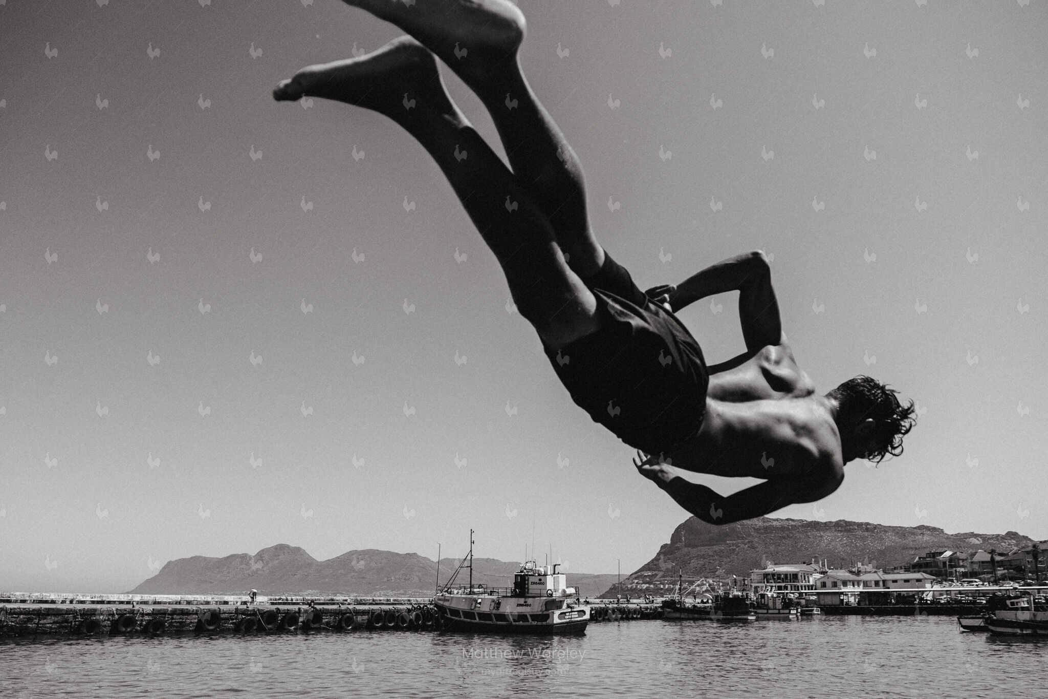 Kalk Bay Diving