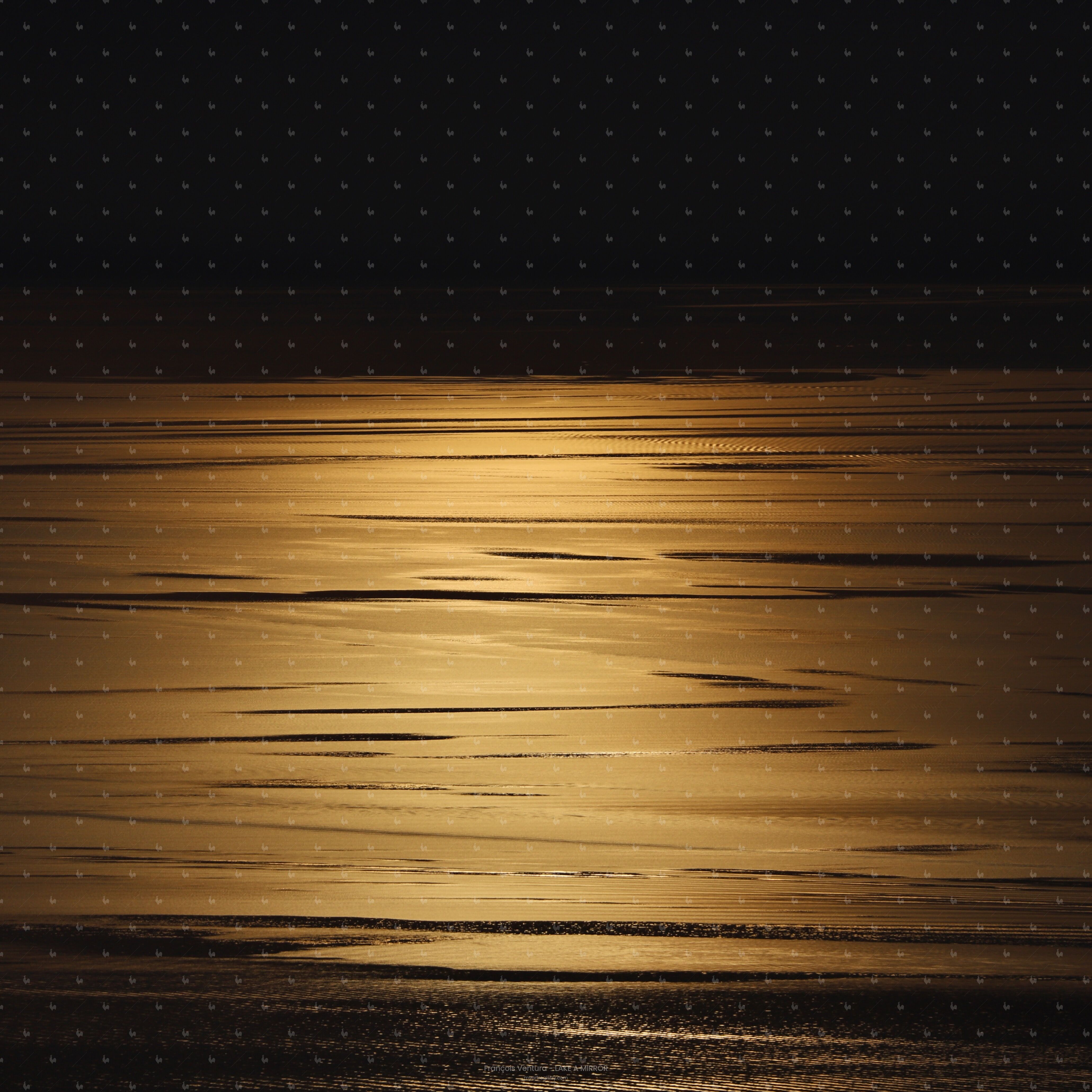 LAKE GOLD#10