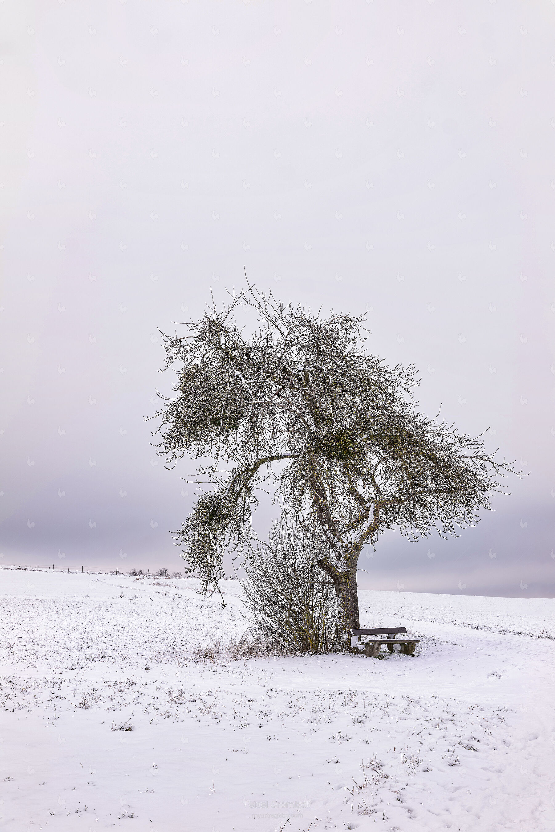 Wo der Winter schweigt