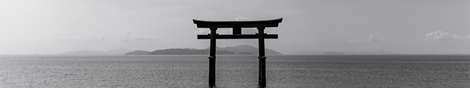 Artist cover image