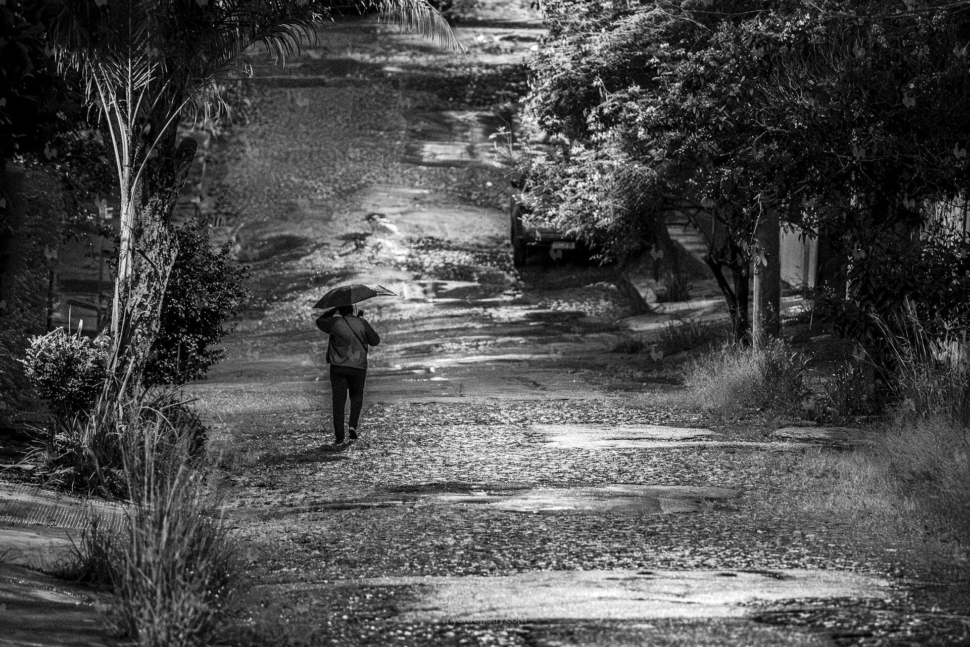 Rua