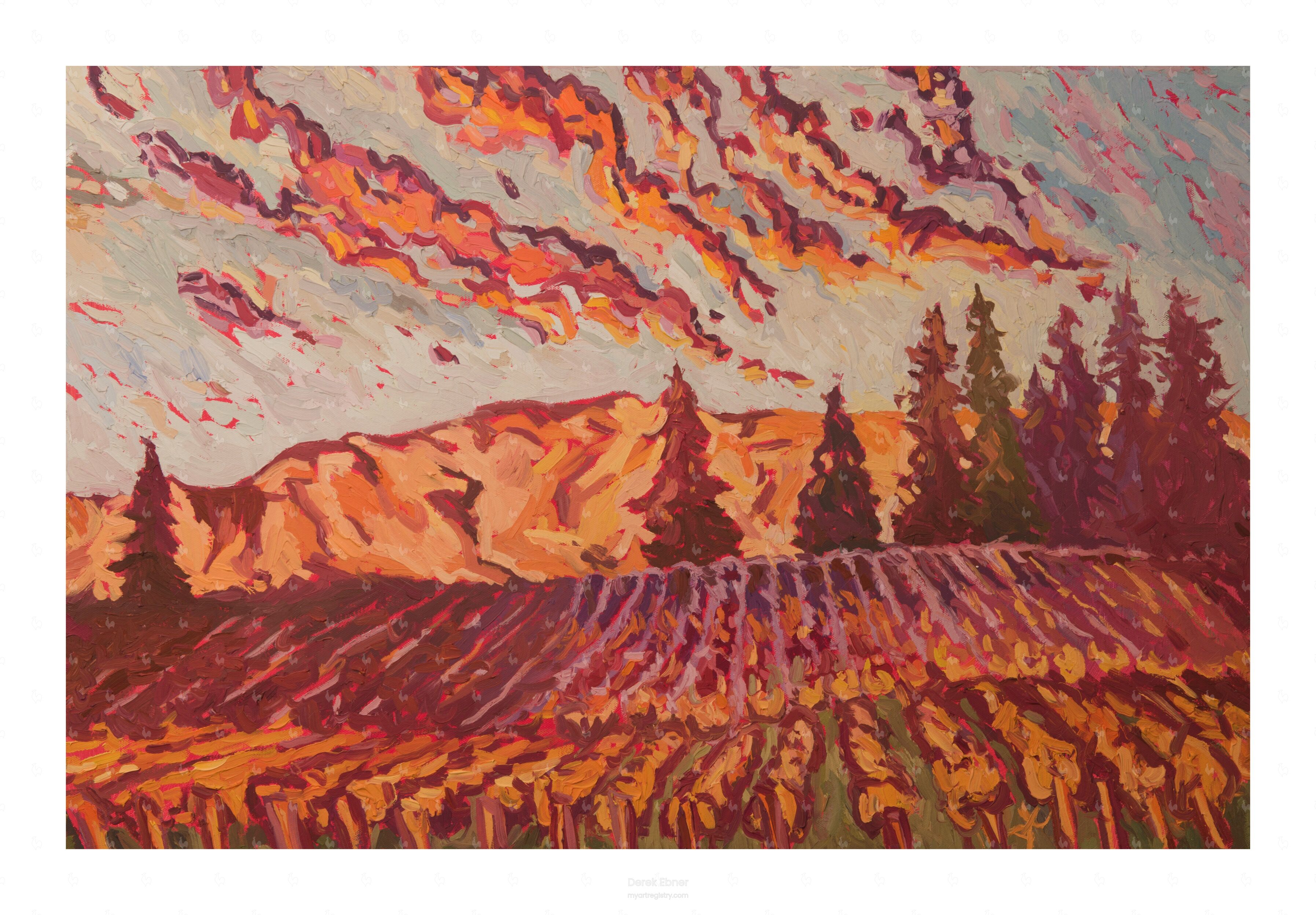 Raso Robles Vineyard #933,929