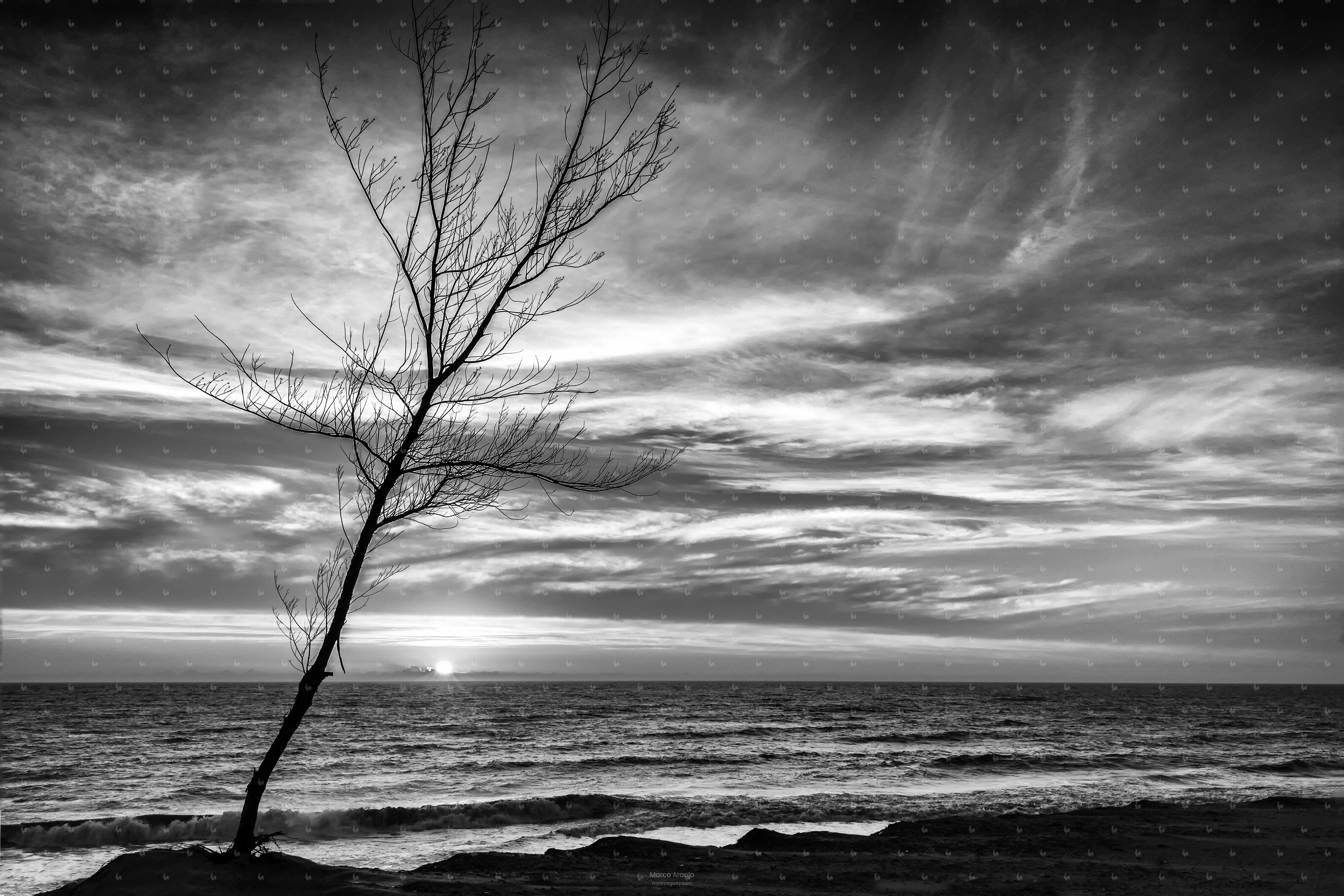 A new day at the beach.