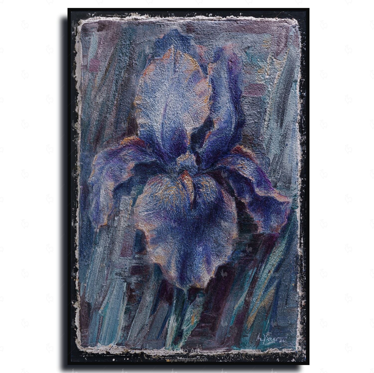 Iris – Fine Art Wall Print | Buon Fresco Photography | Limited 500/500