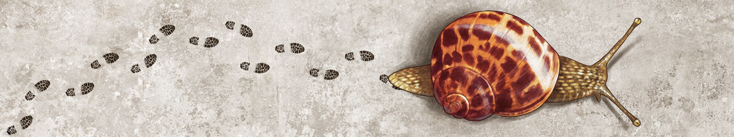 Artist cover image