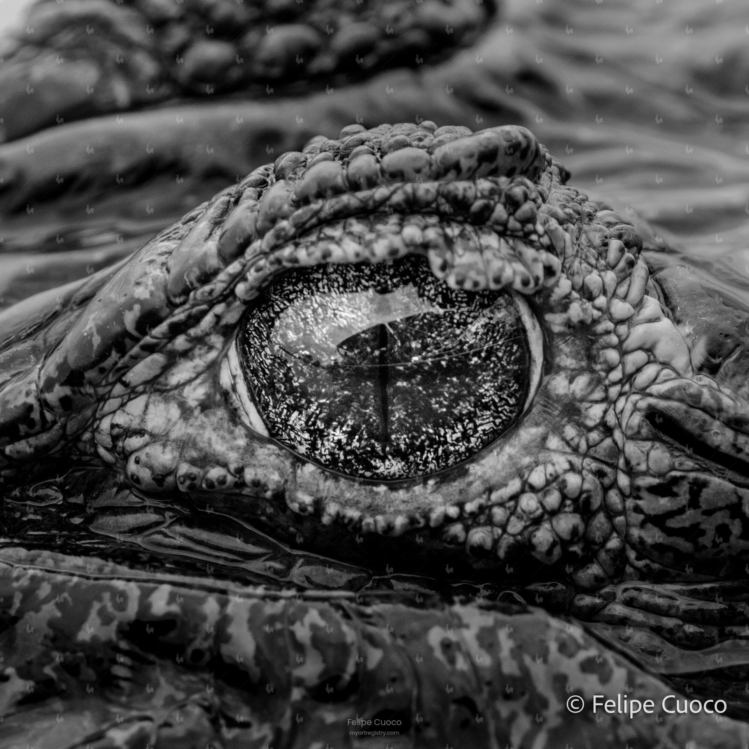 EYE OF THE ANCIENT WATERS