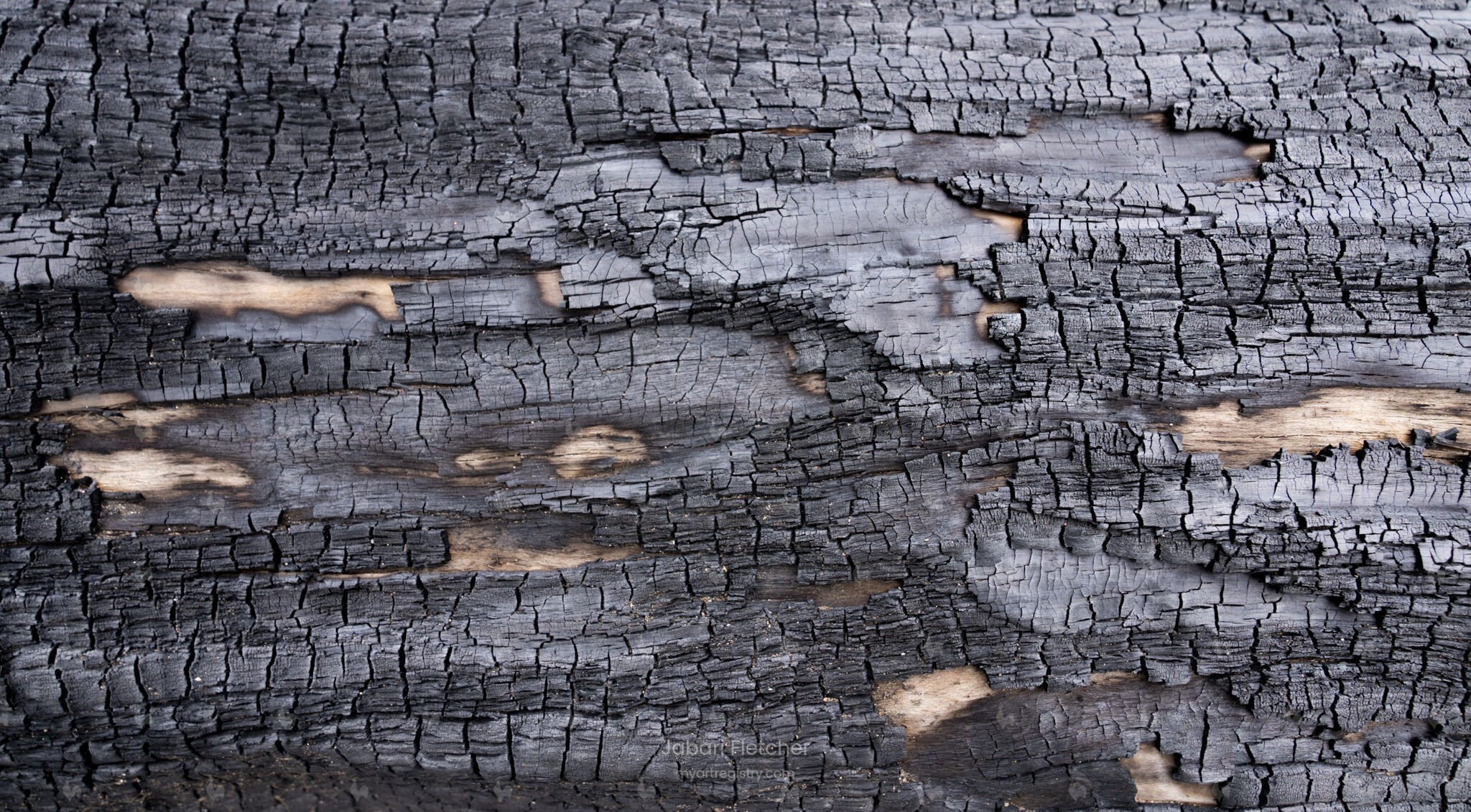Charred Wood 