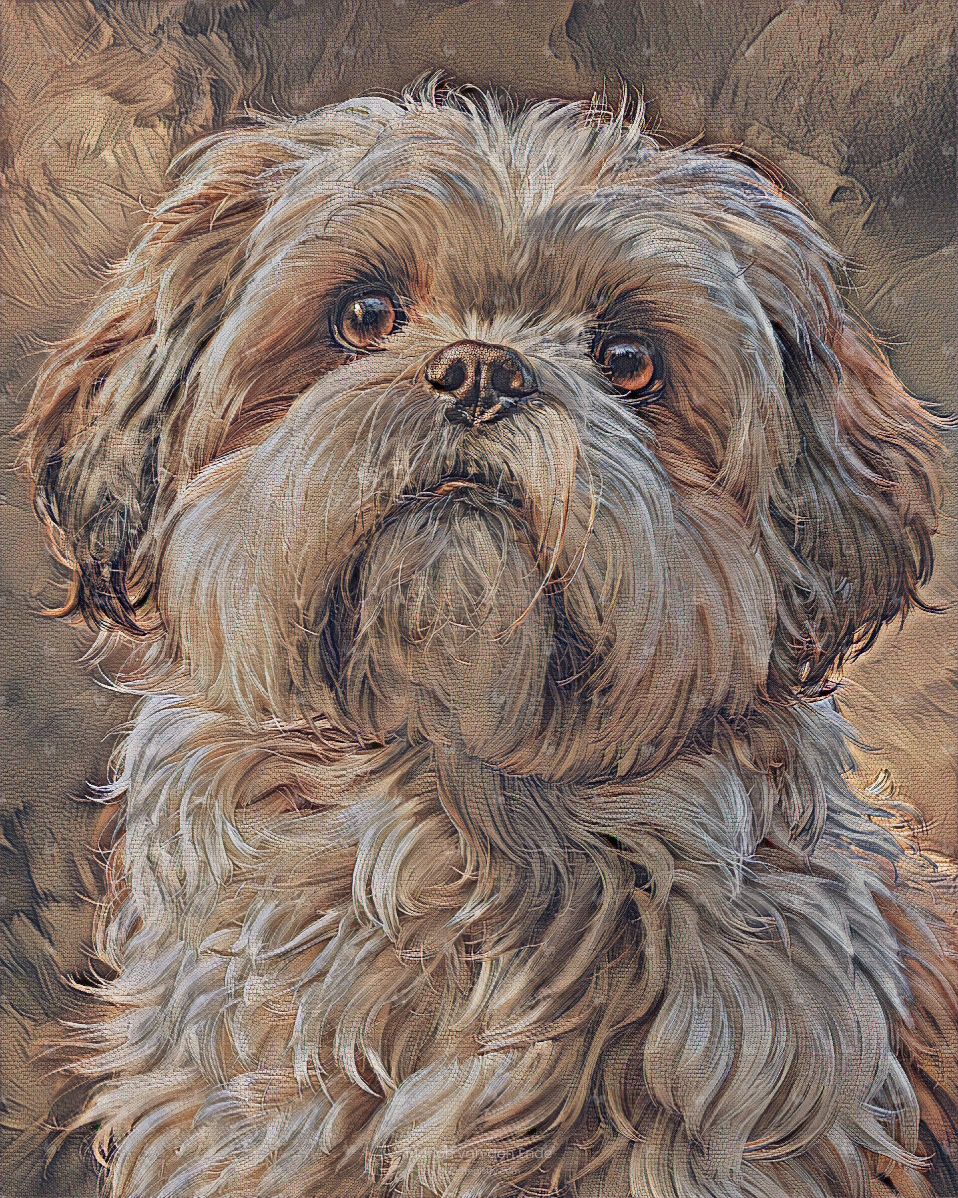 ShihTzu