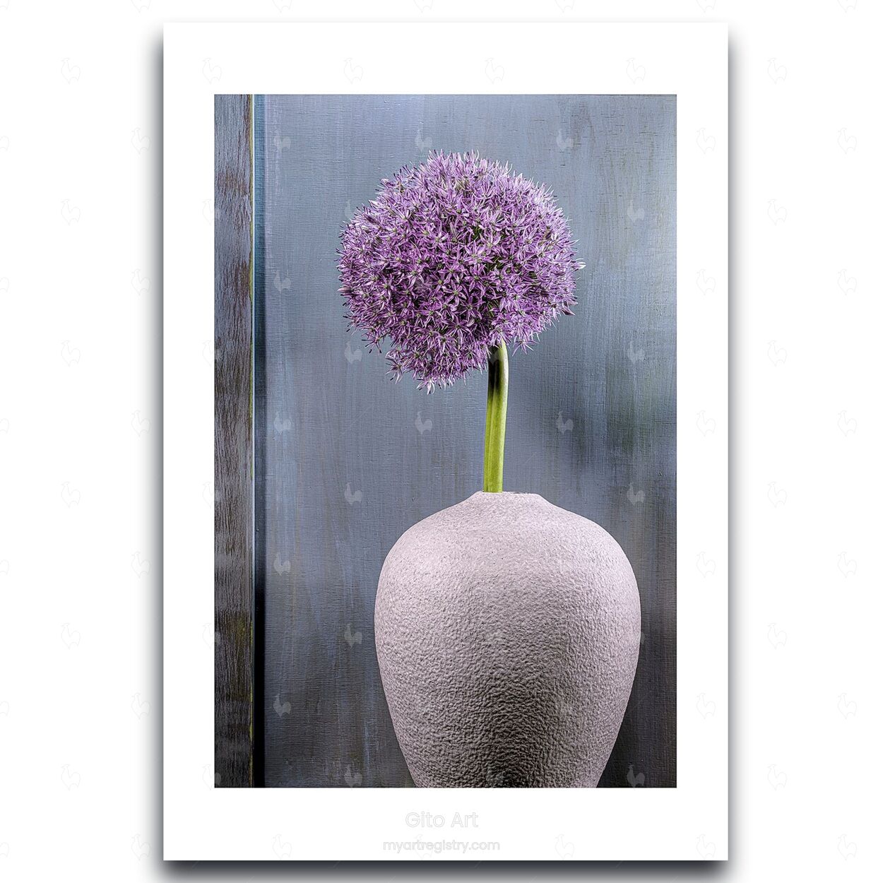 Ornamental Allium – Fine Art Photography | Wall Art | Limited 1000/1000