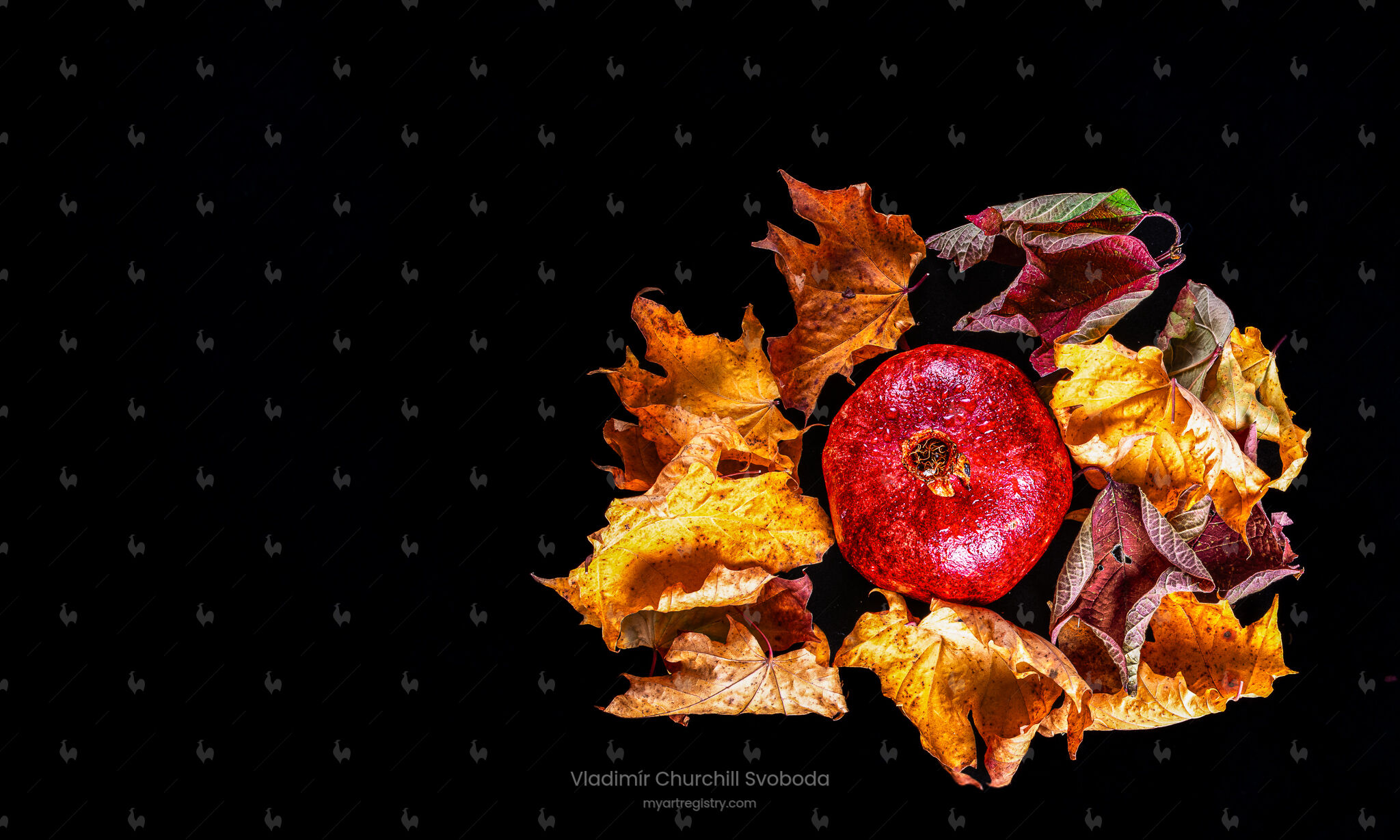 Autumnal Core / Podzimní jádro