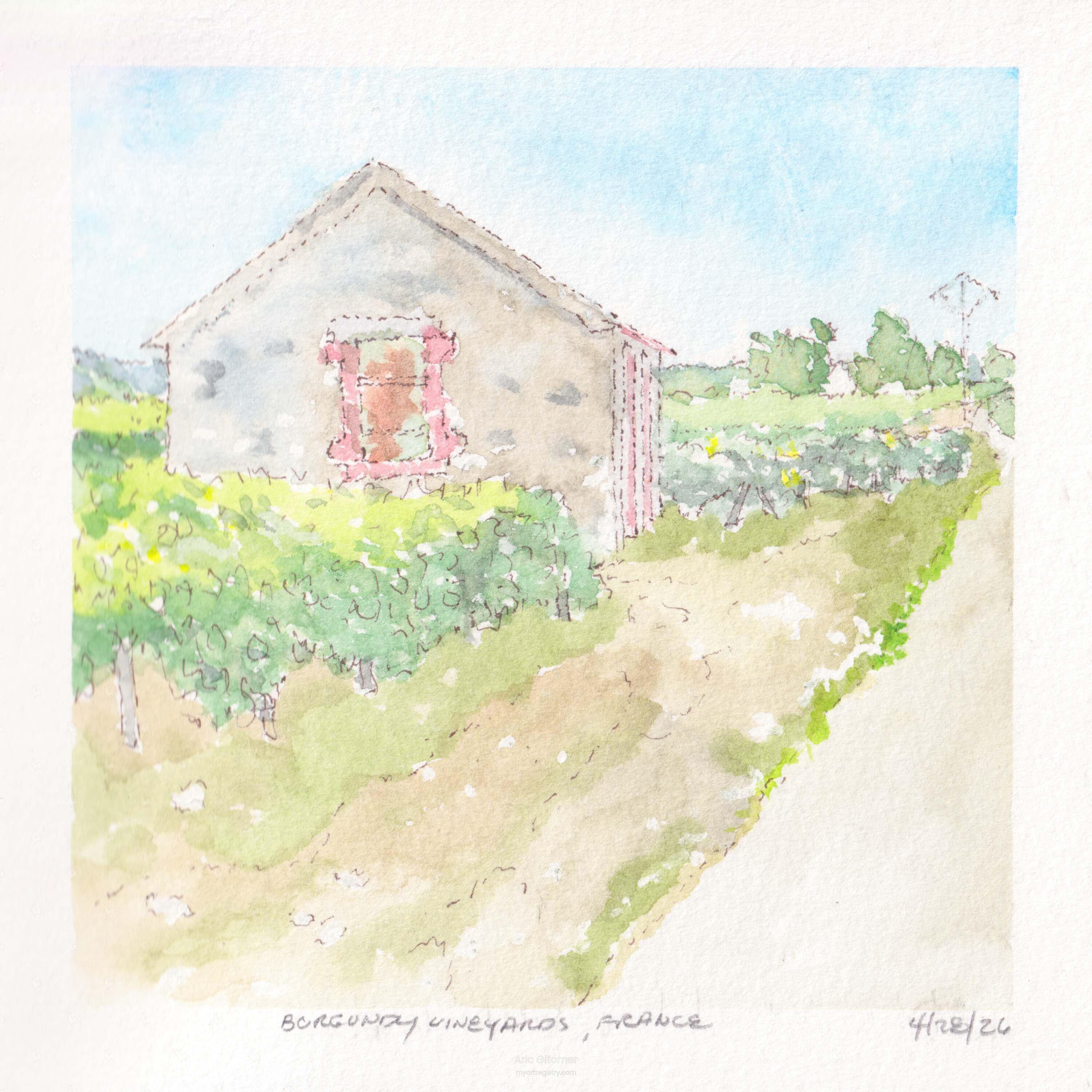 Among the Vines