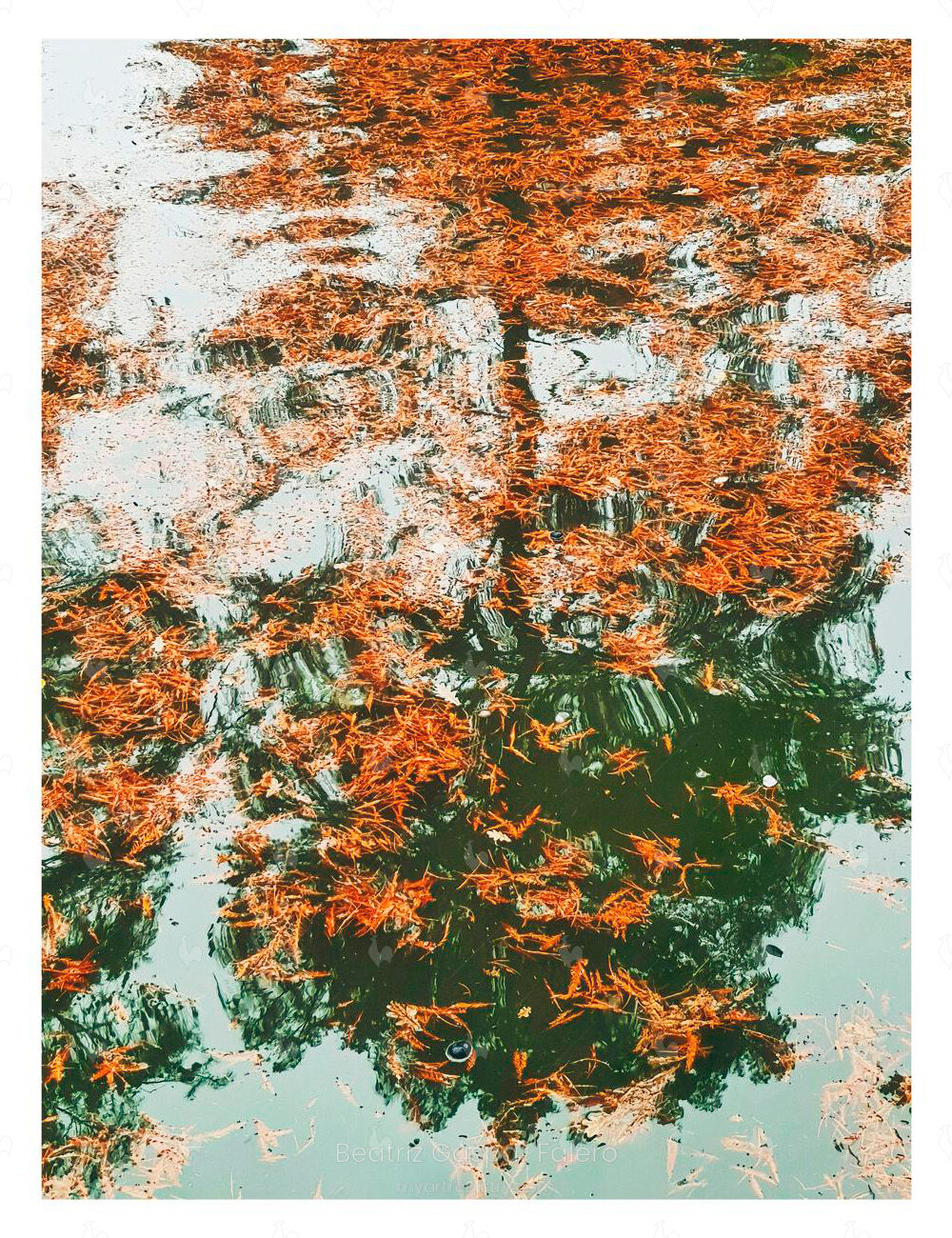 Otoño en el Retiro