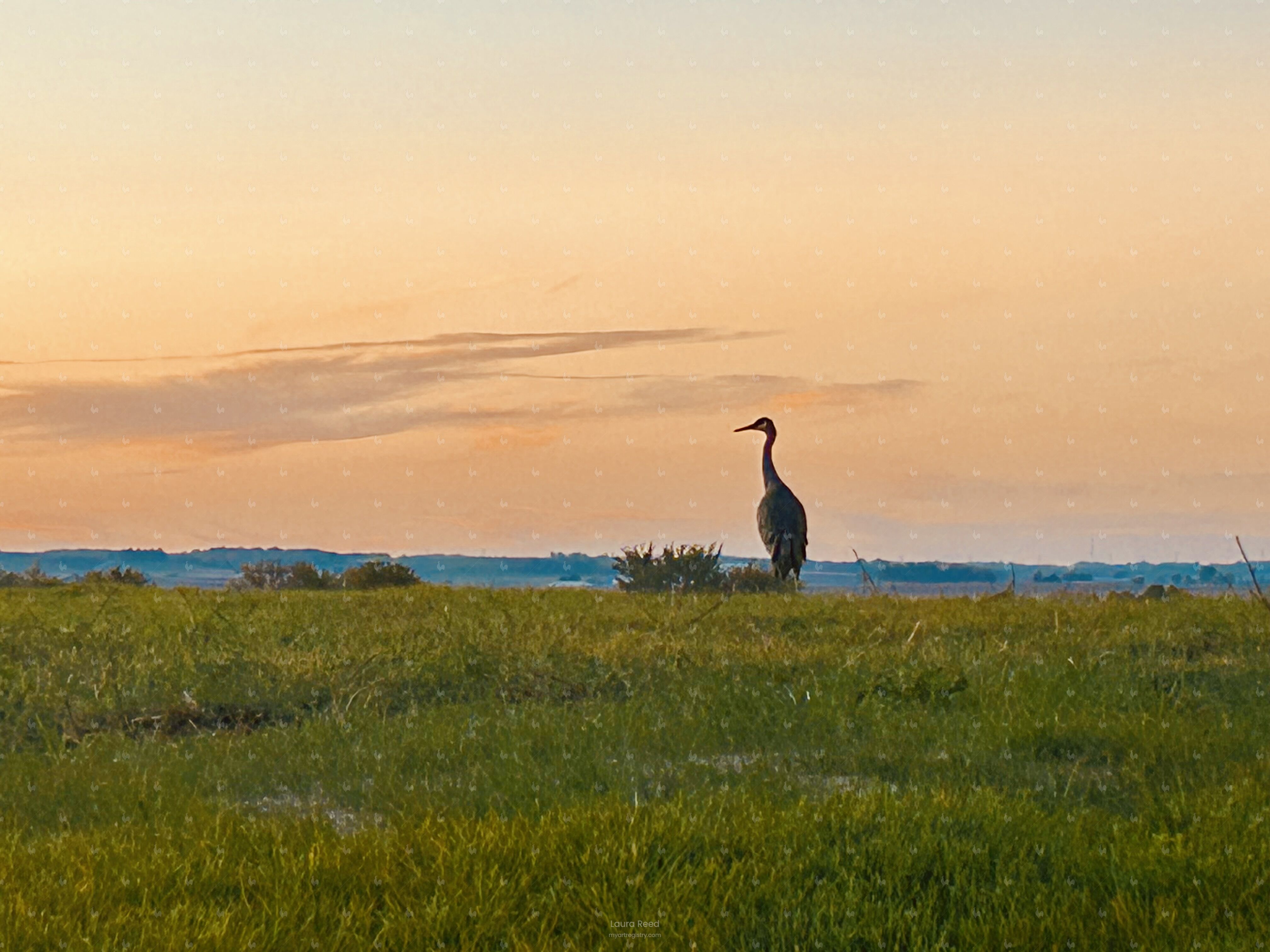 On Watch