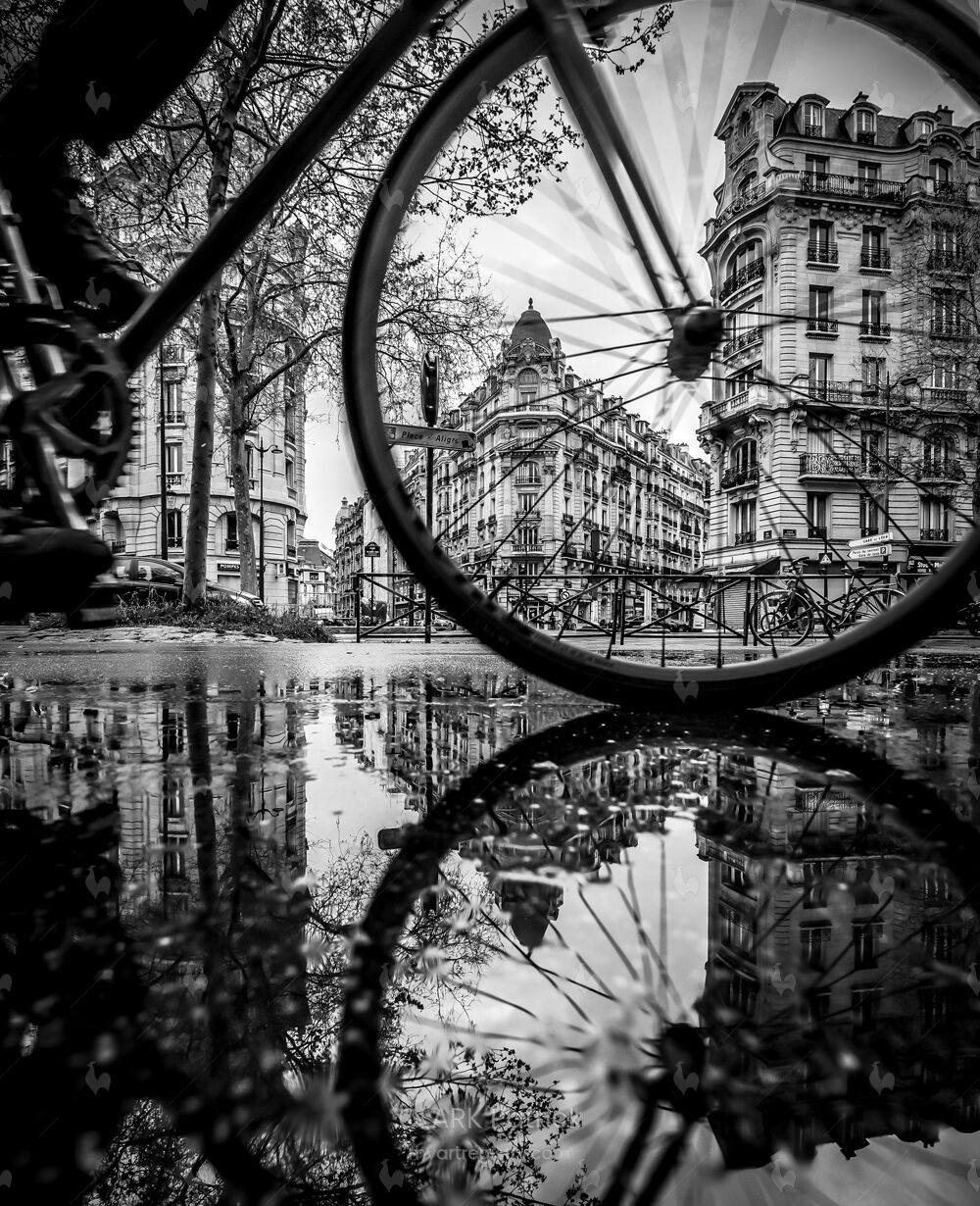 Dans la roue | In the wheel