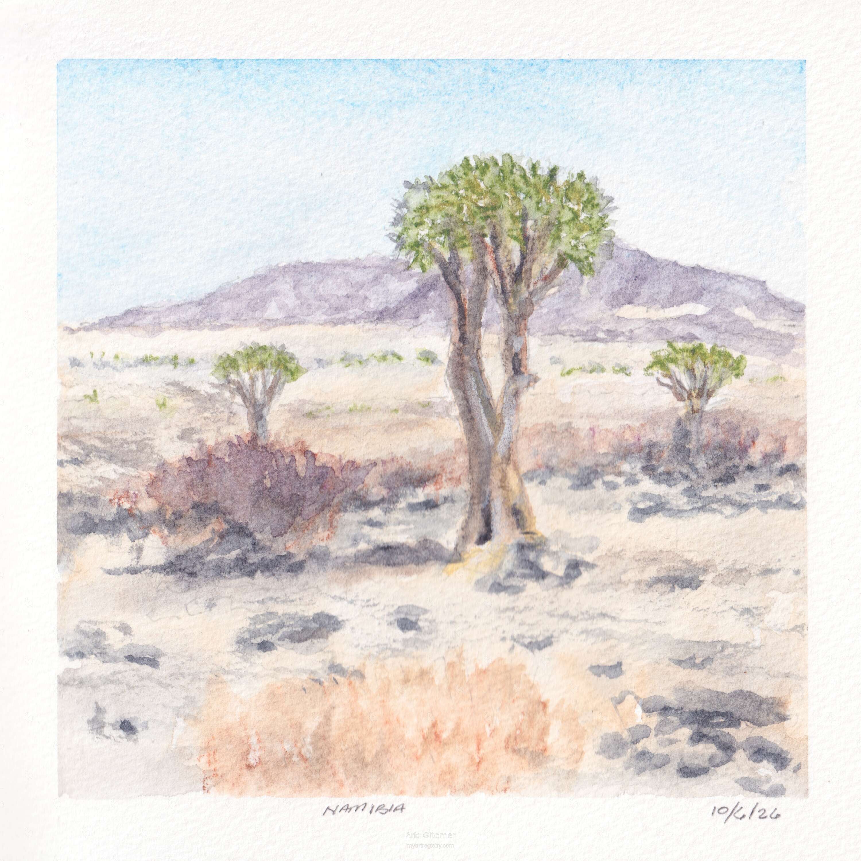 A Different Kind of Desert
