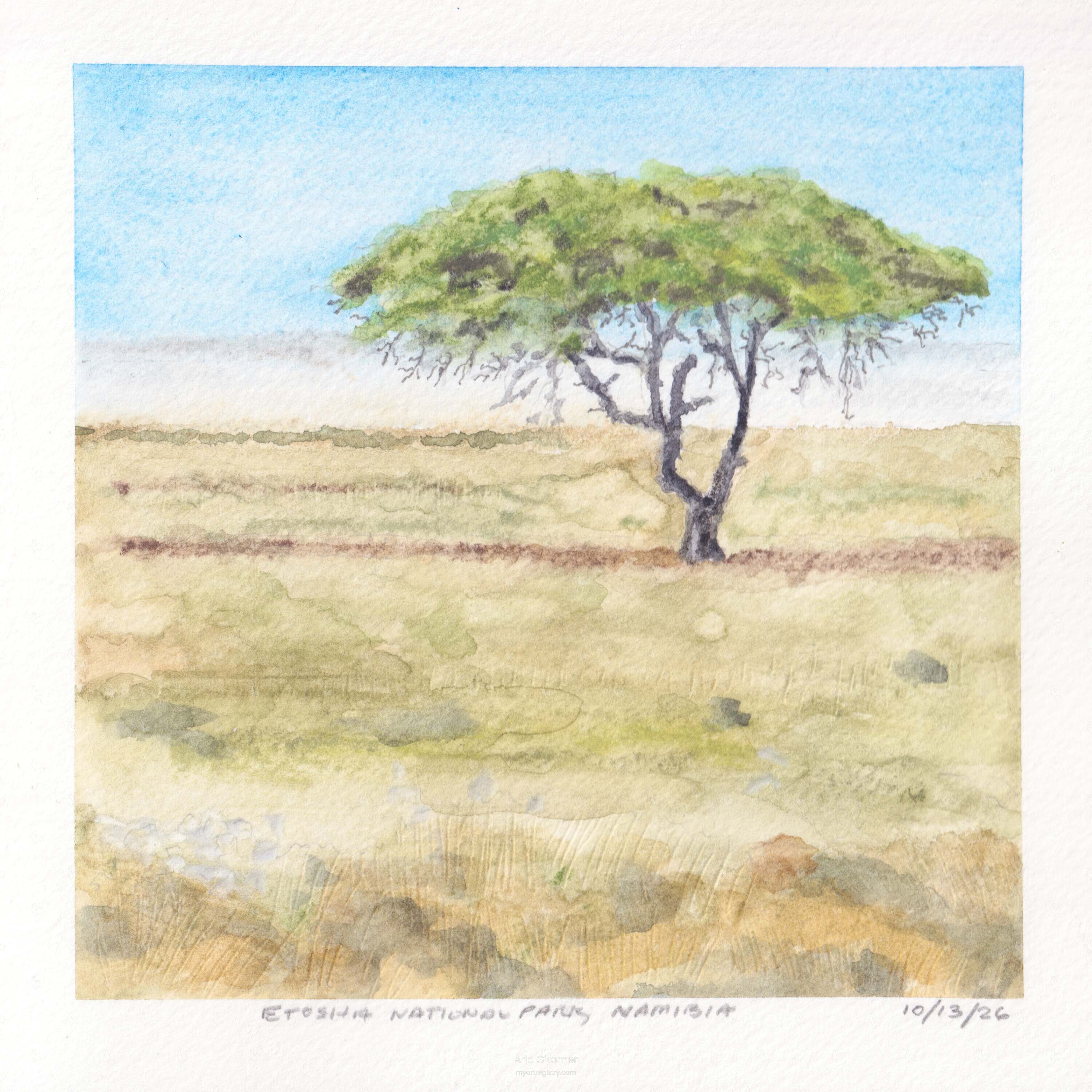 Where the Land Disappears