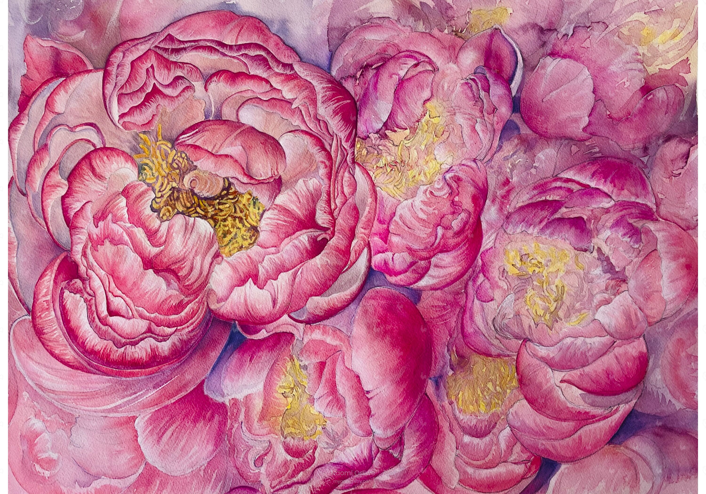 Peony Passionata In Spring