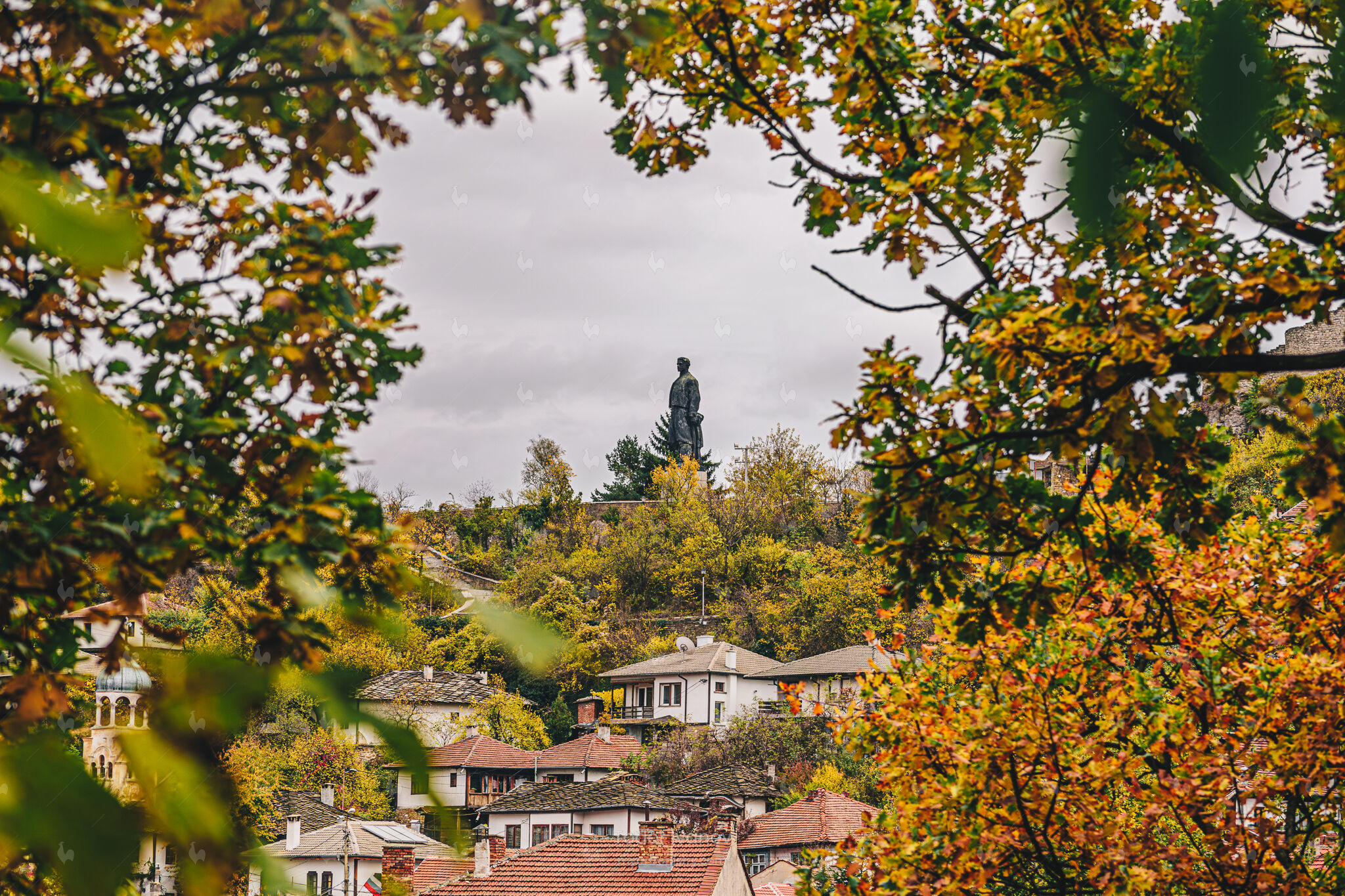 When the Leaves Open a Window - LAB000393