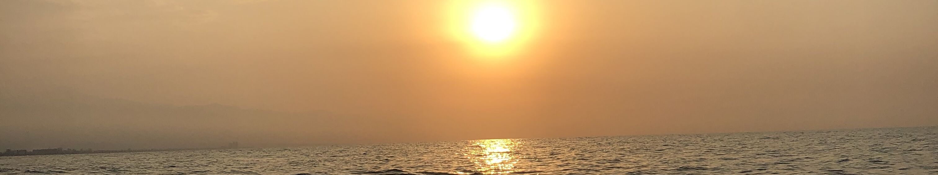 Artist cover image