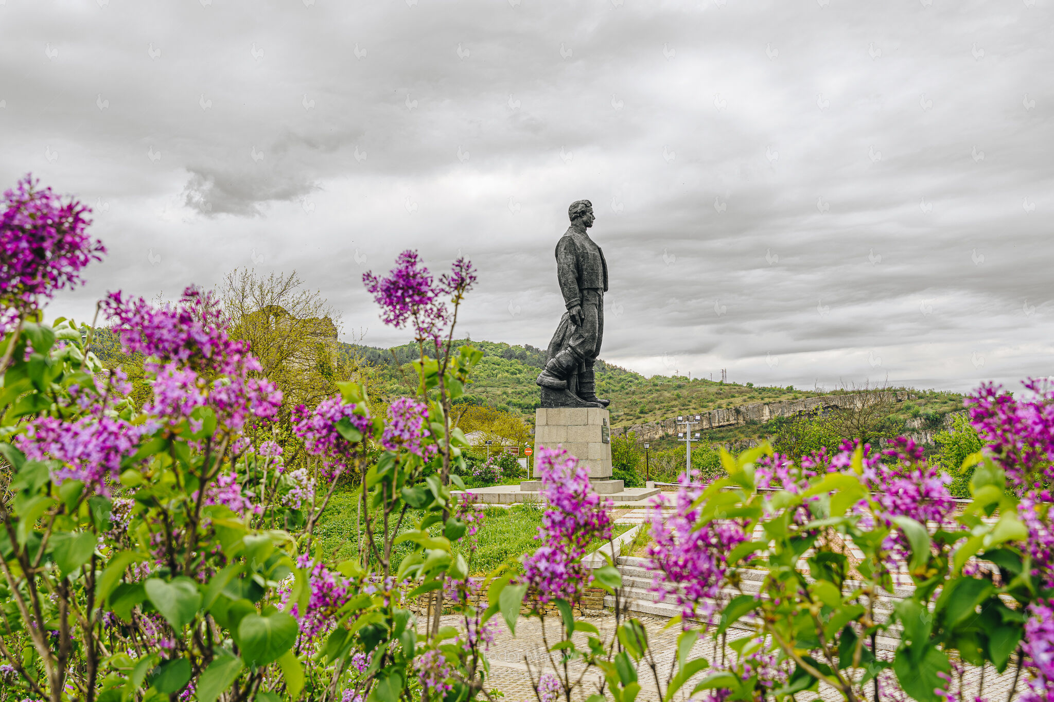 The Apostle and the Lilacs – LAB000414