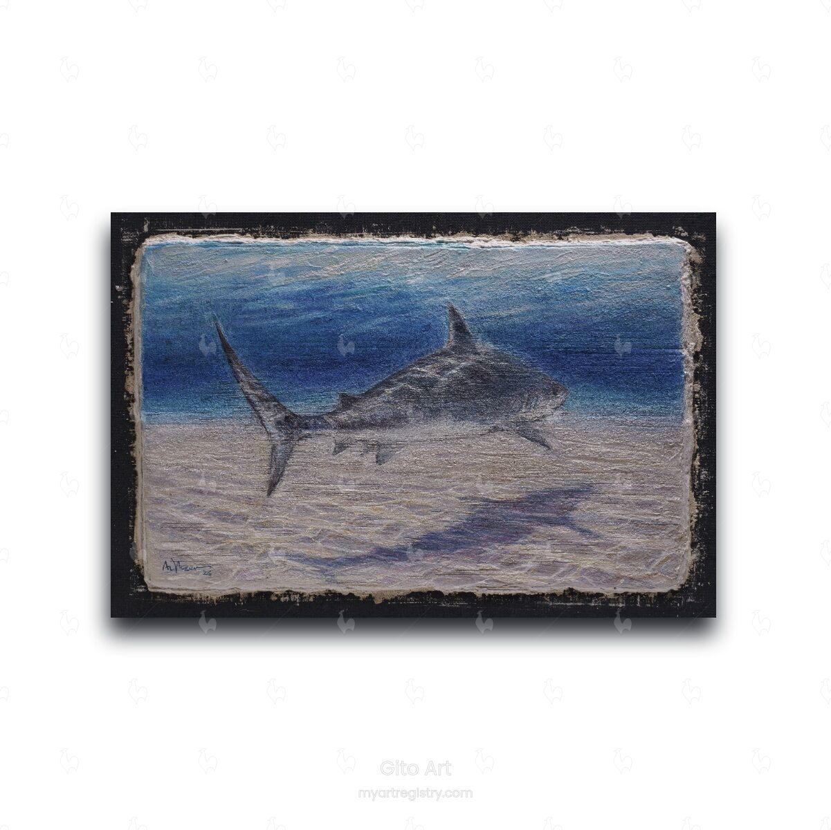 Shark – Fine Art Wall Print | Buon Fresco Photography | Limited 500/500