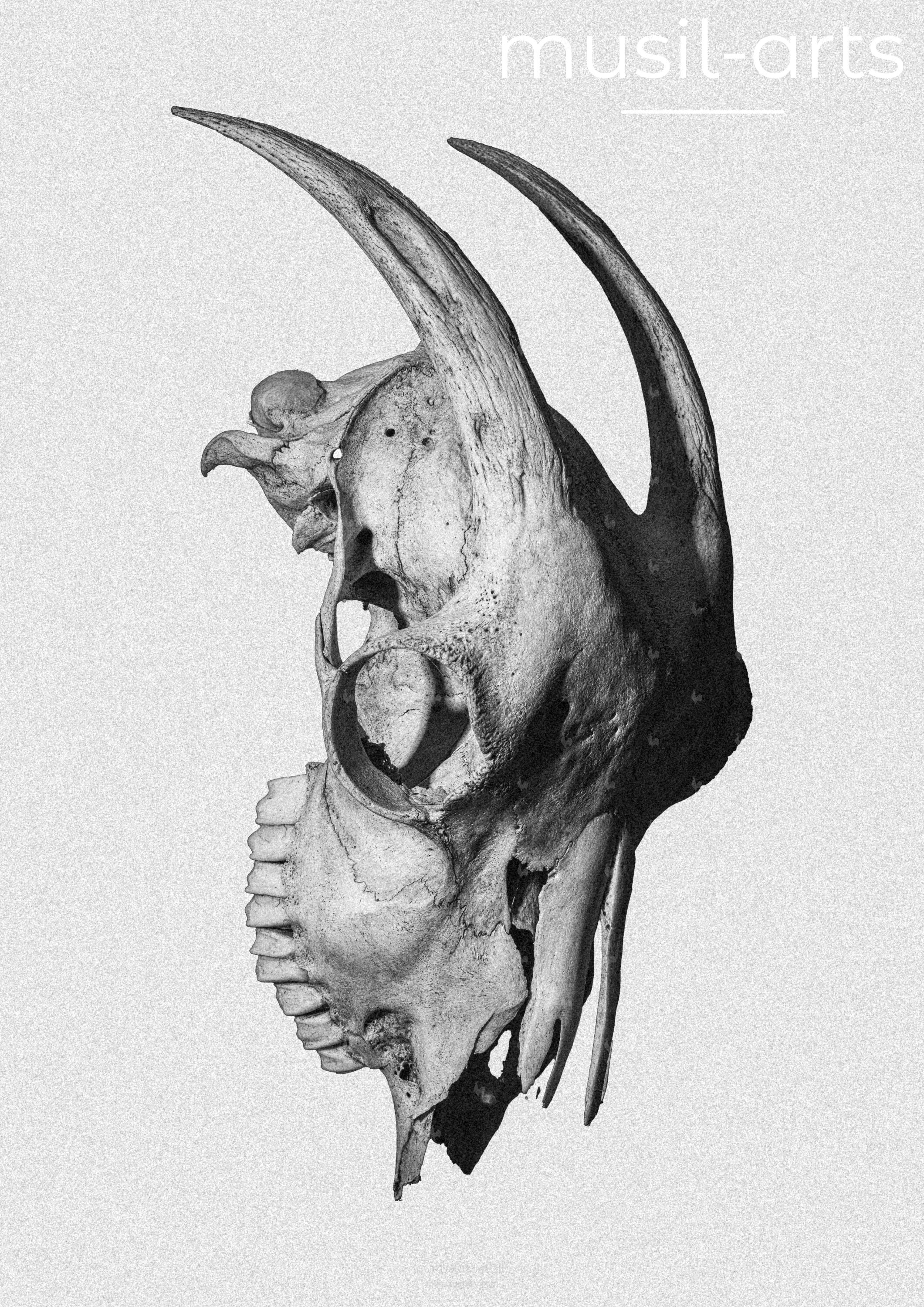 The horned one 