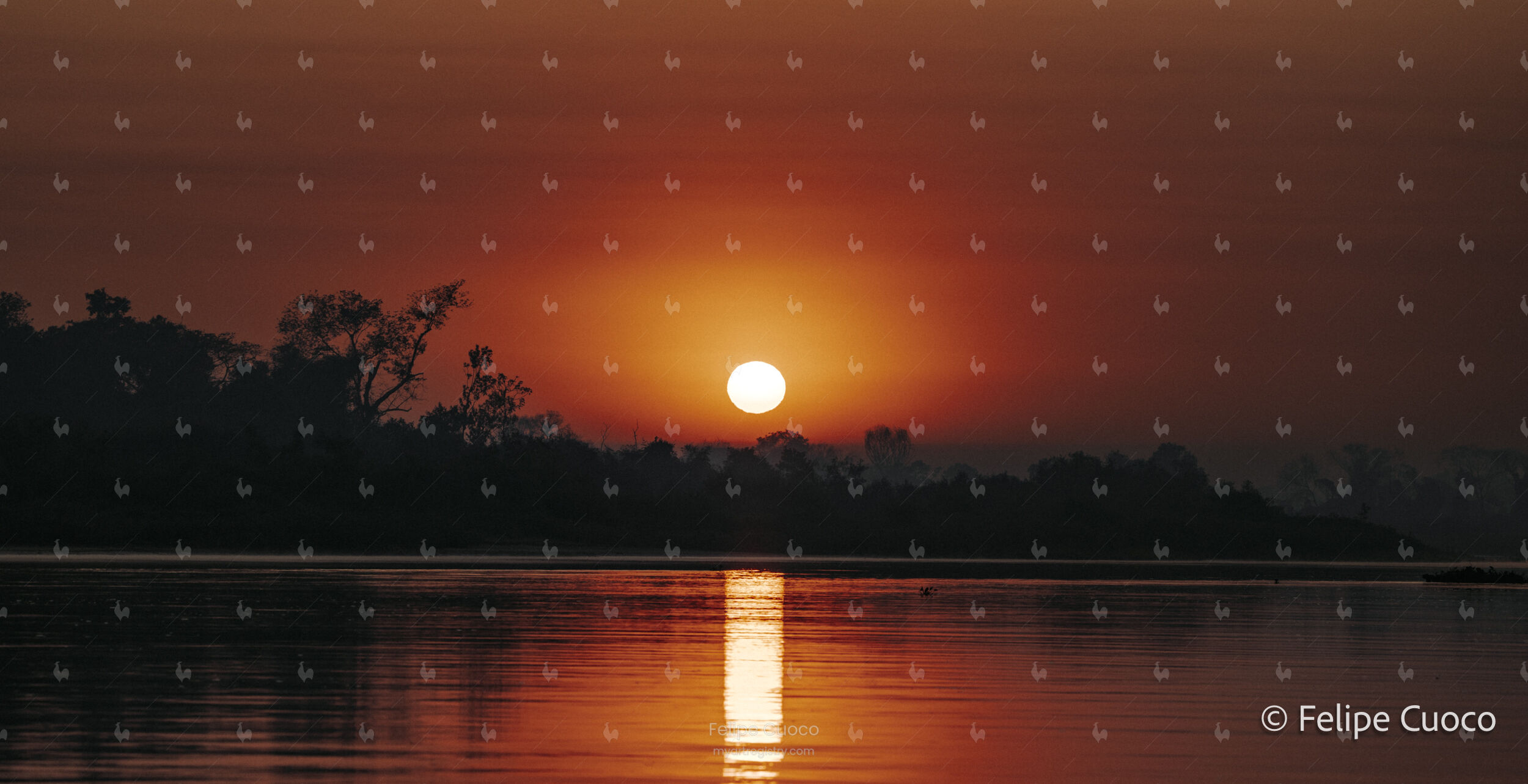 PANTANAL SUNRISE
