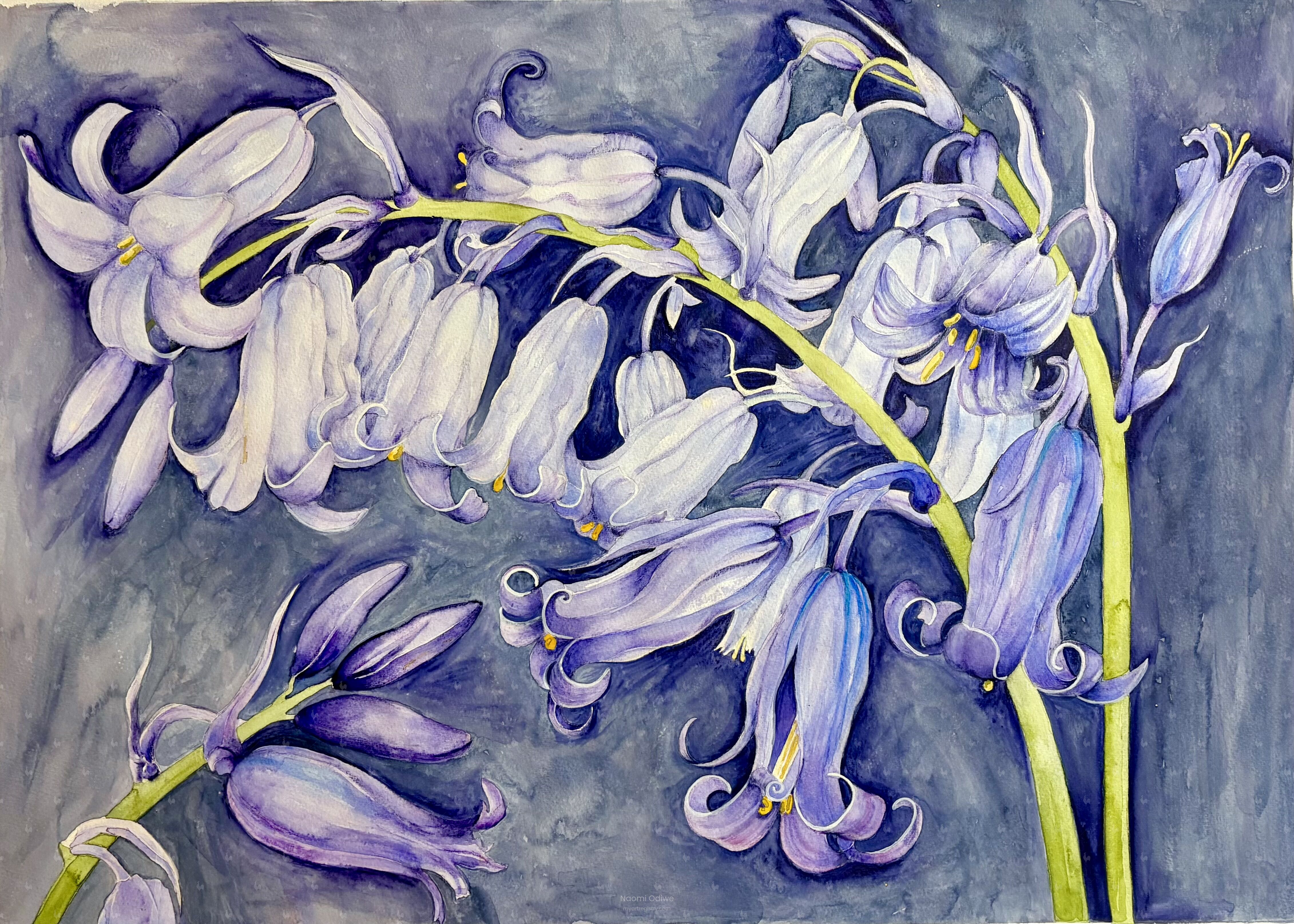 Mave's Bluebell Bower