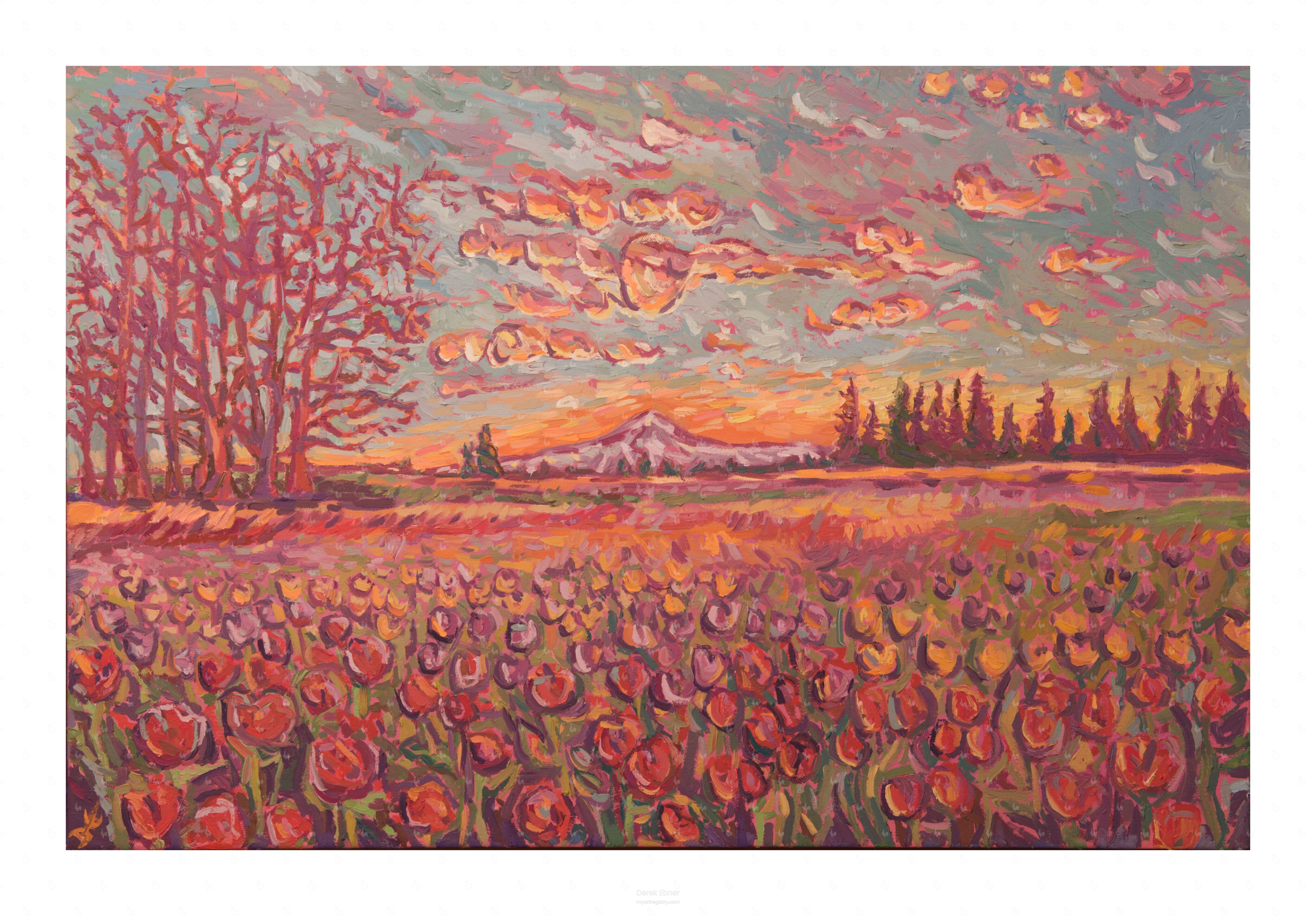 Oregon Tulip Fields #933,466