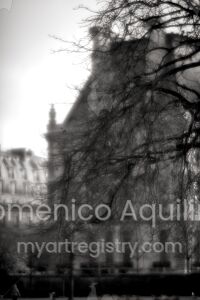 Arbre magique
